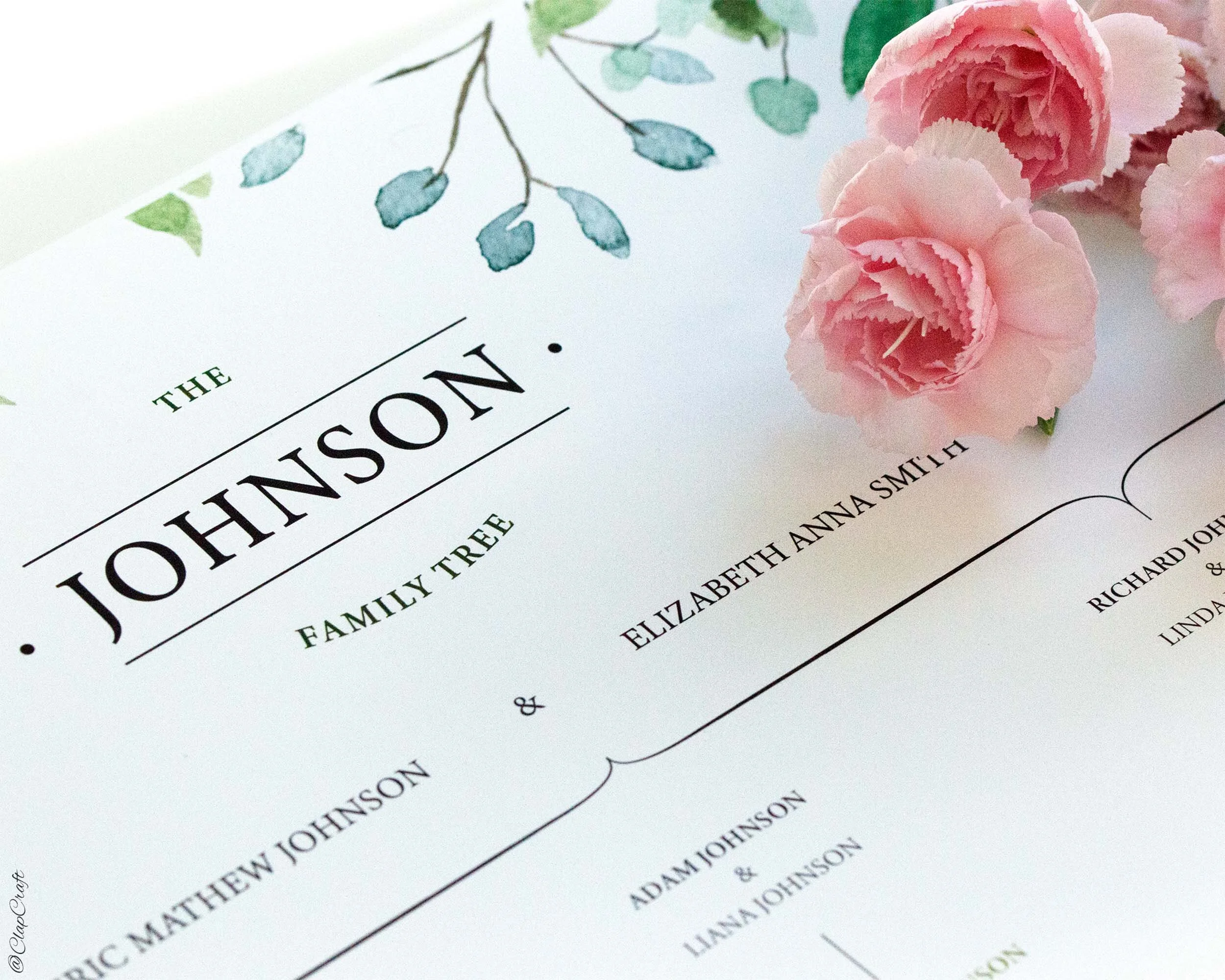 Ficus Family Tree print with roses lying next to it.