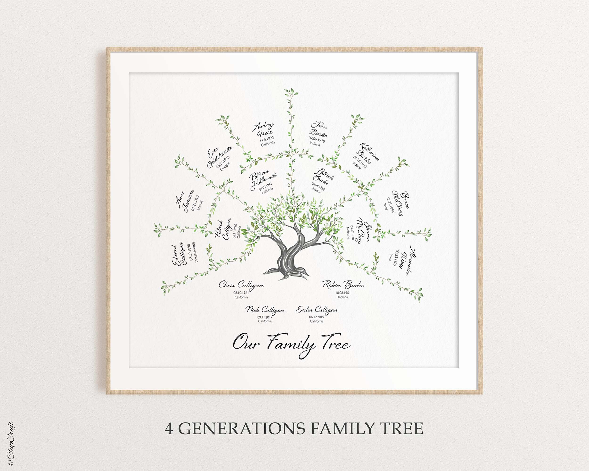 Oak Family Tree Template for 4 generations shown hanging on the wall