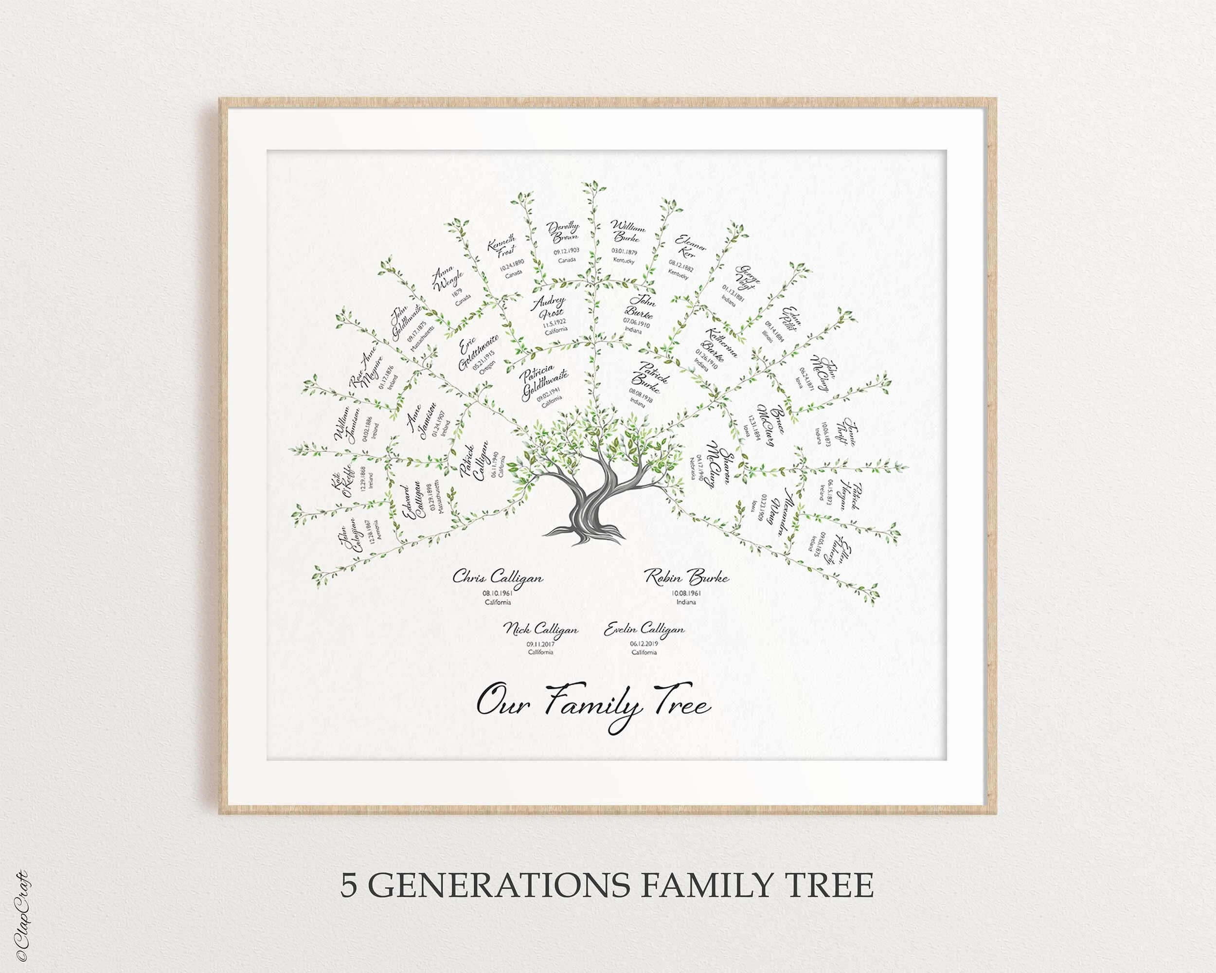 Oak Family Tree Template for 5 generations shown hanging on the wall