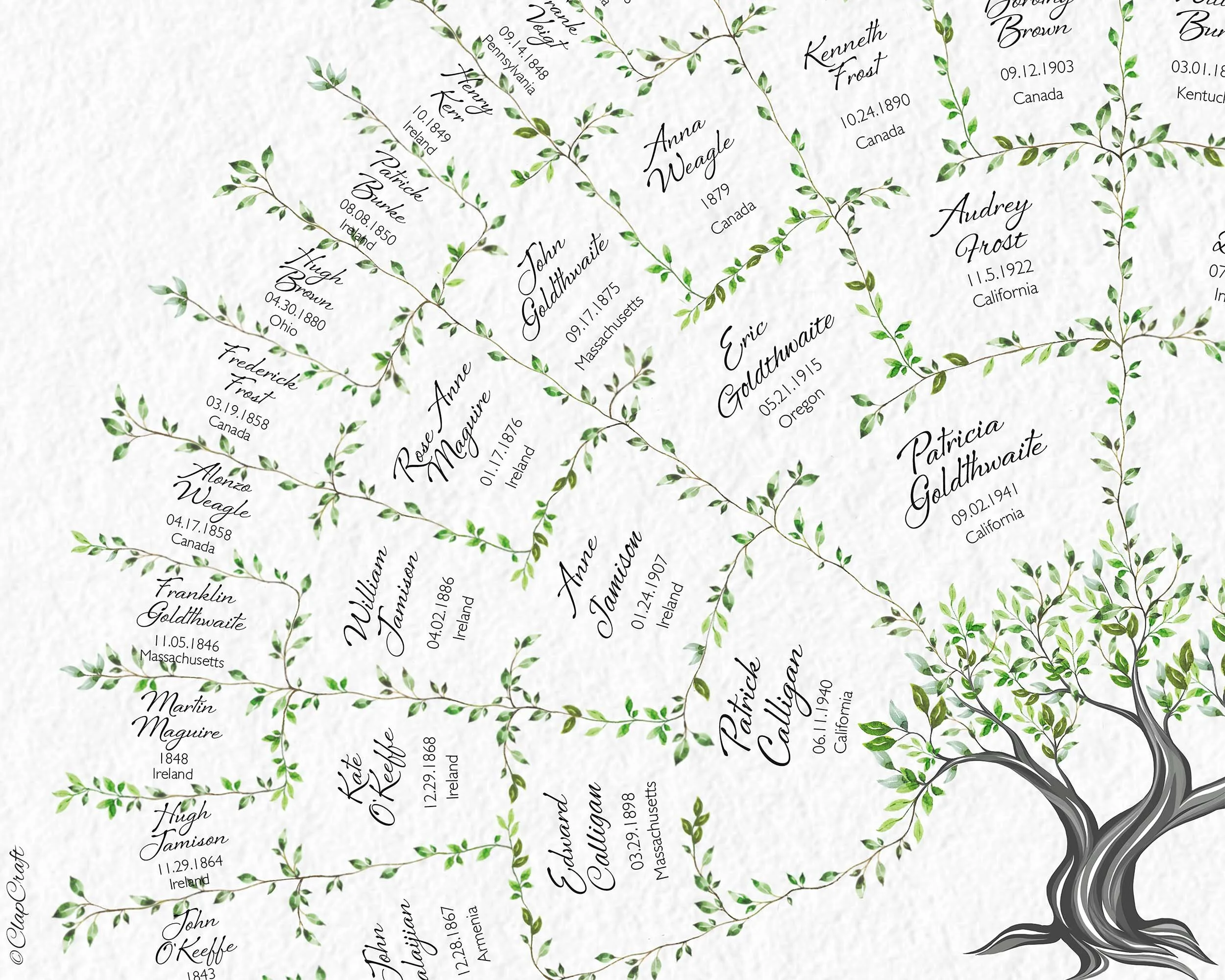 fragment of the Oak Family Tree Template