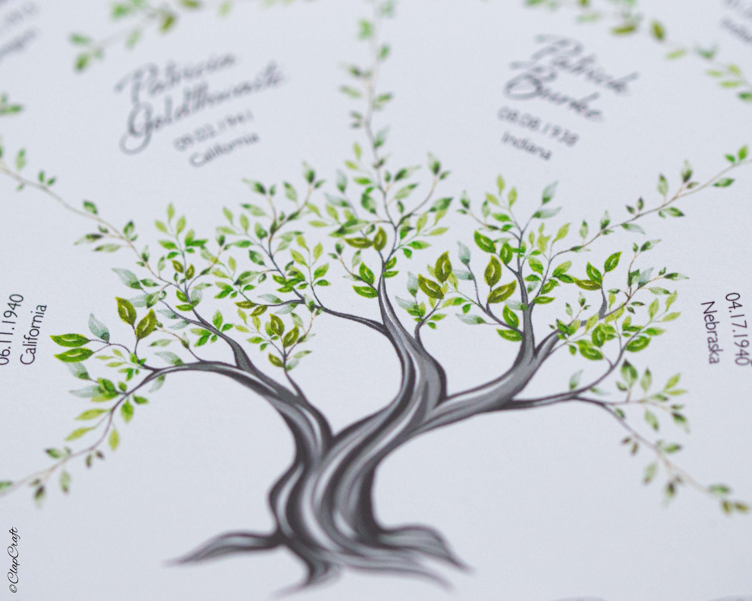 Fragment of the Oak Family Tree art print