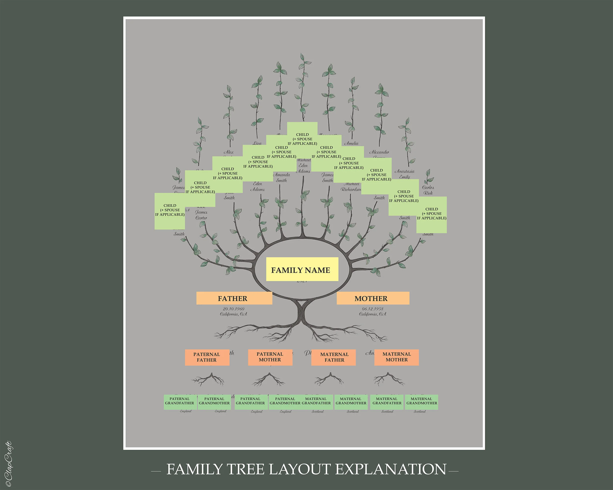 Custom Family Tree template layout explanation