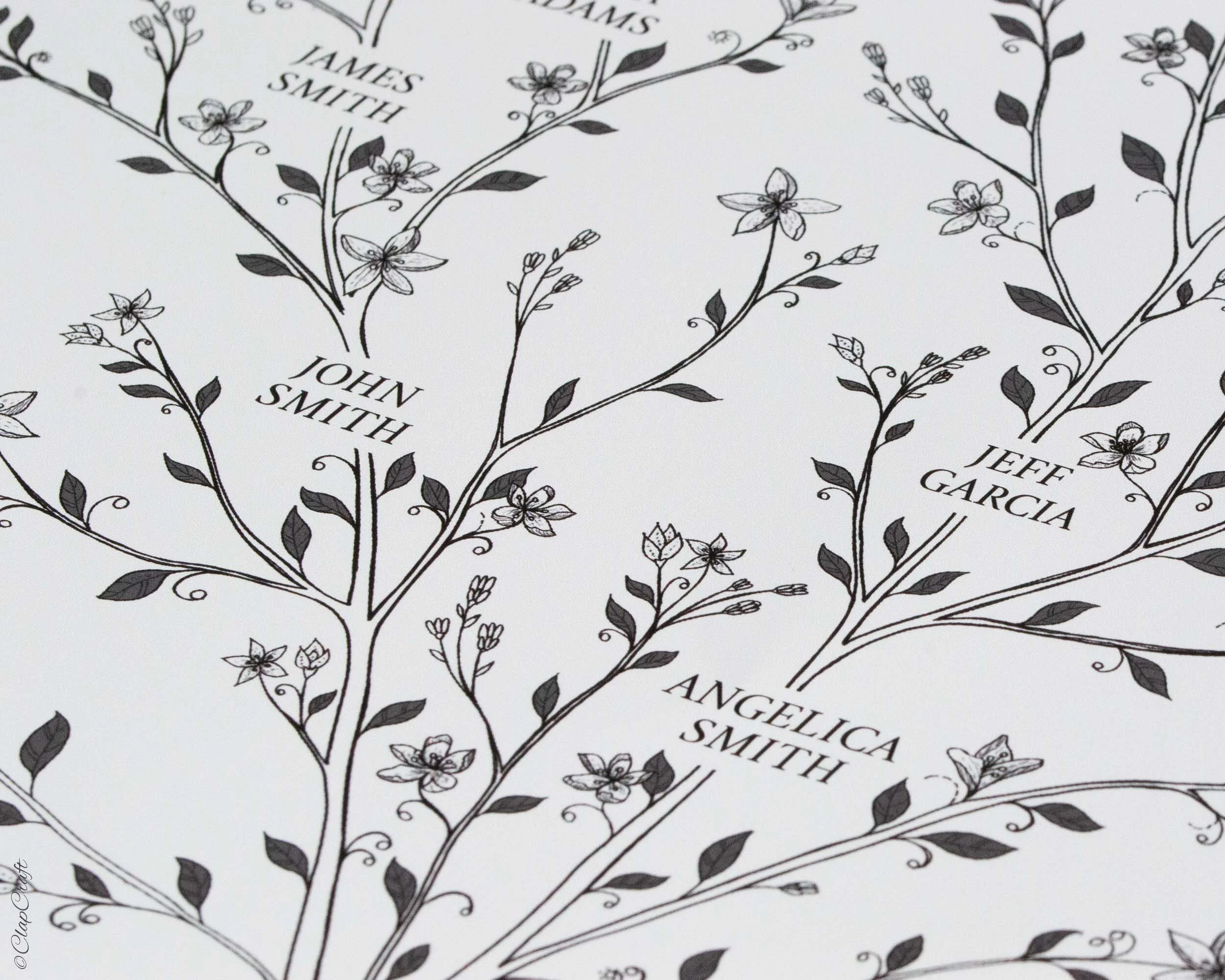 Details of Gypsophila custom Family Tree showing flowers and leaves