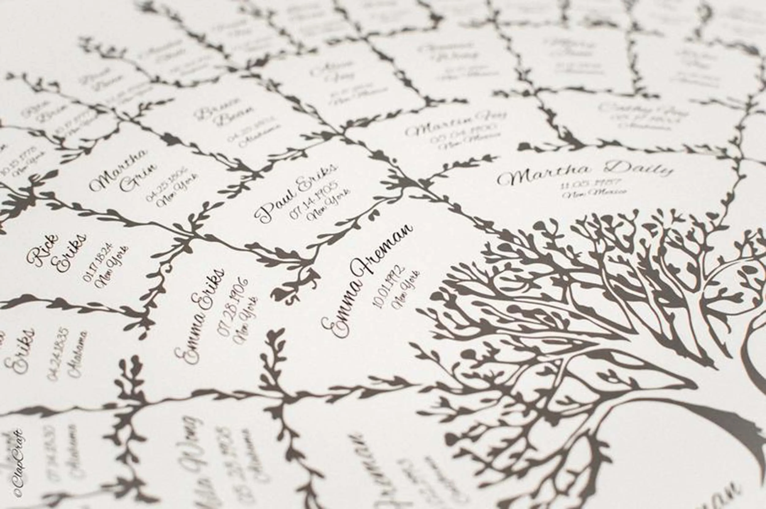 close up look at the printed family tree template