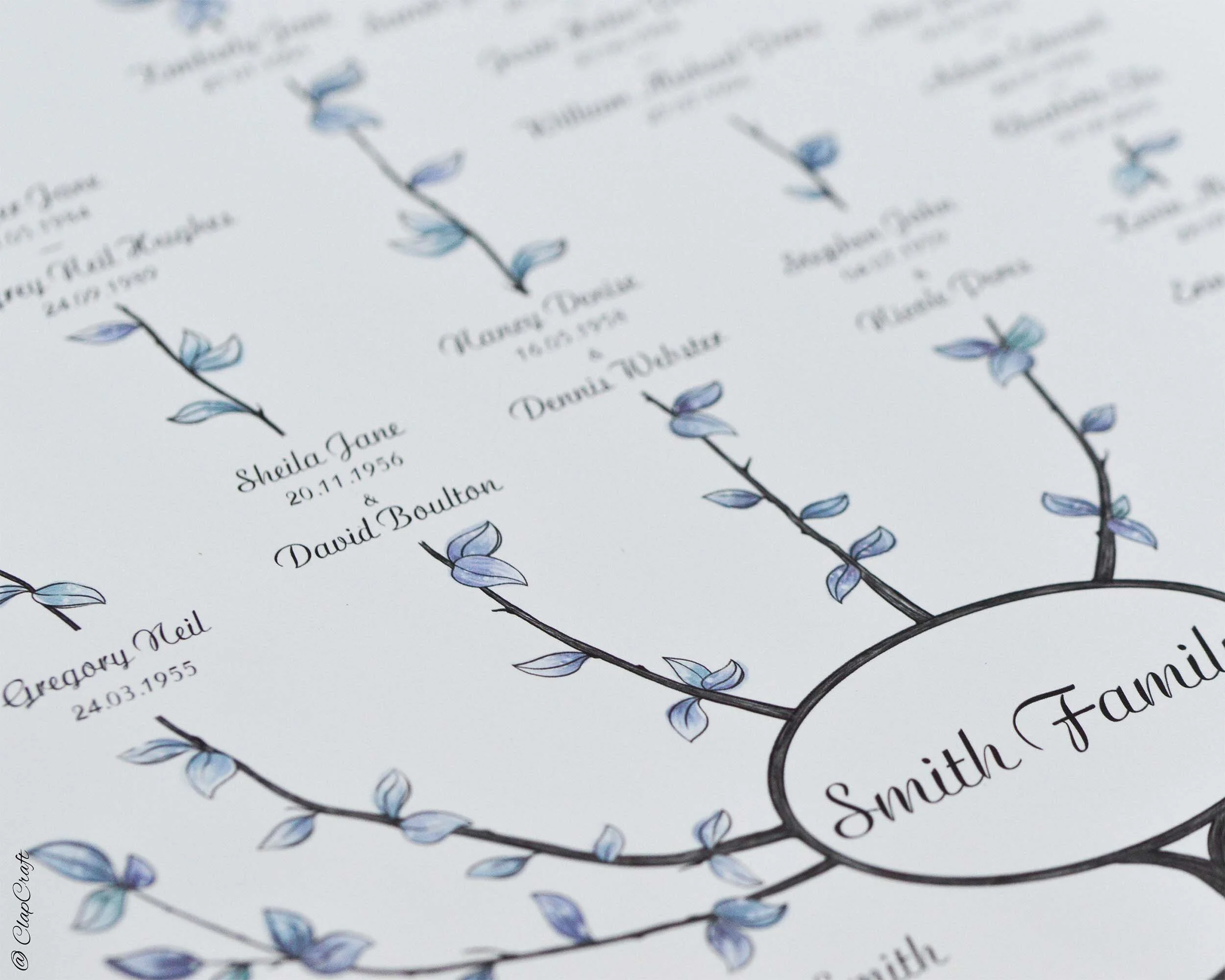 a close up look at the printed copy of a family tree template