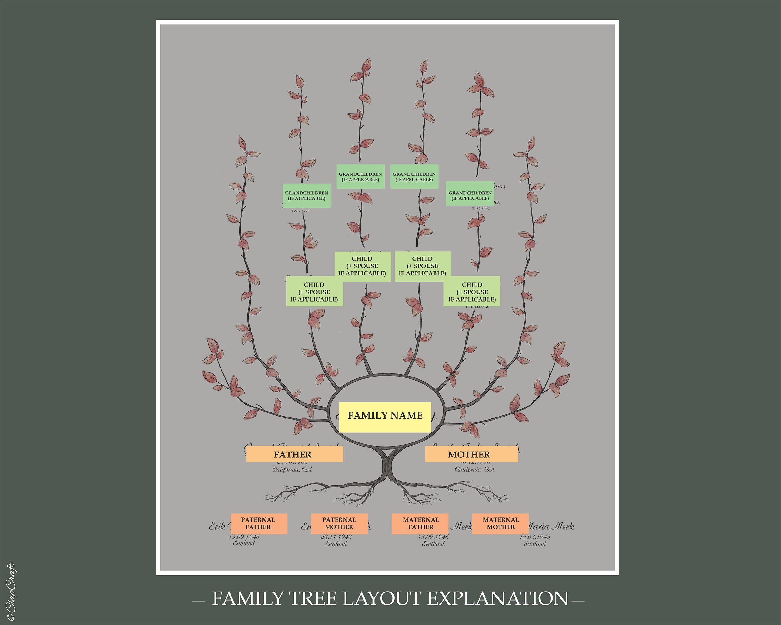 Ivy Family Tree template explanation