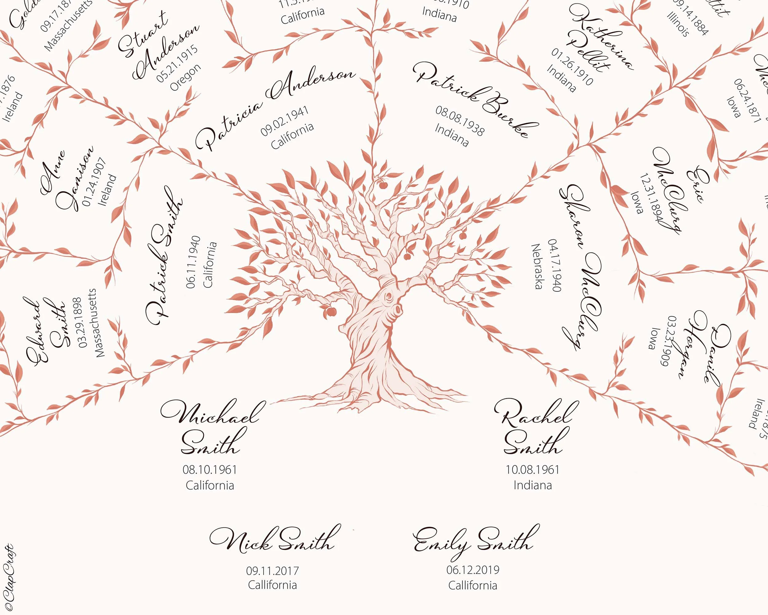 A close up look at the family tree template design