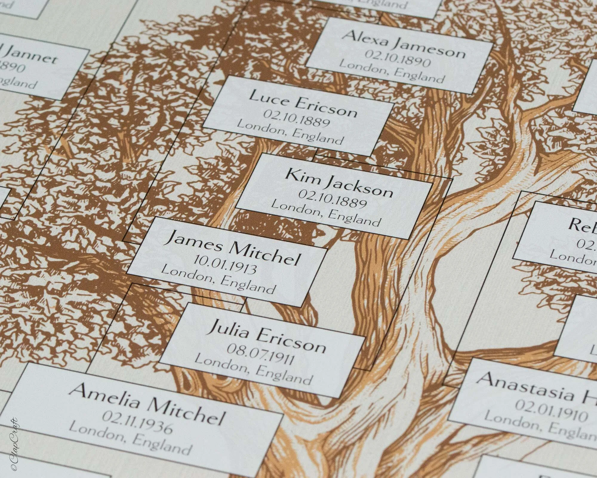 Design details of a Sepia Family Tree in the printed copy