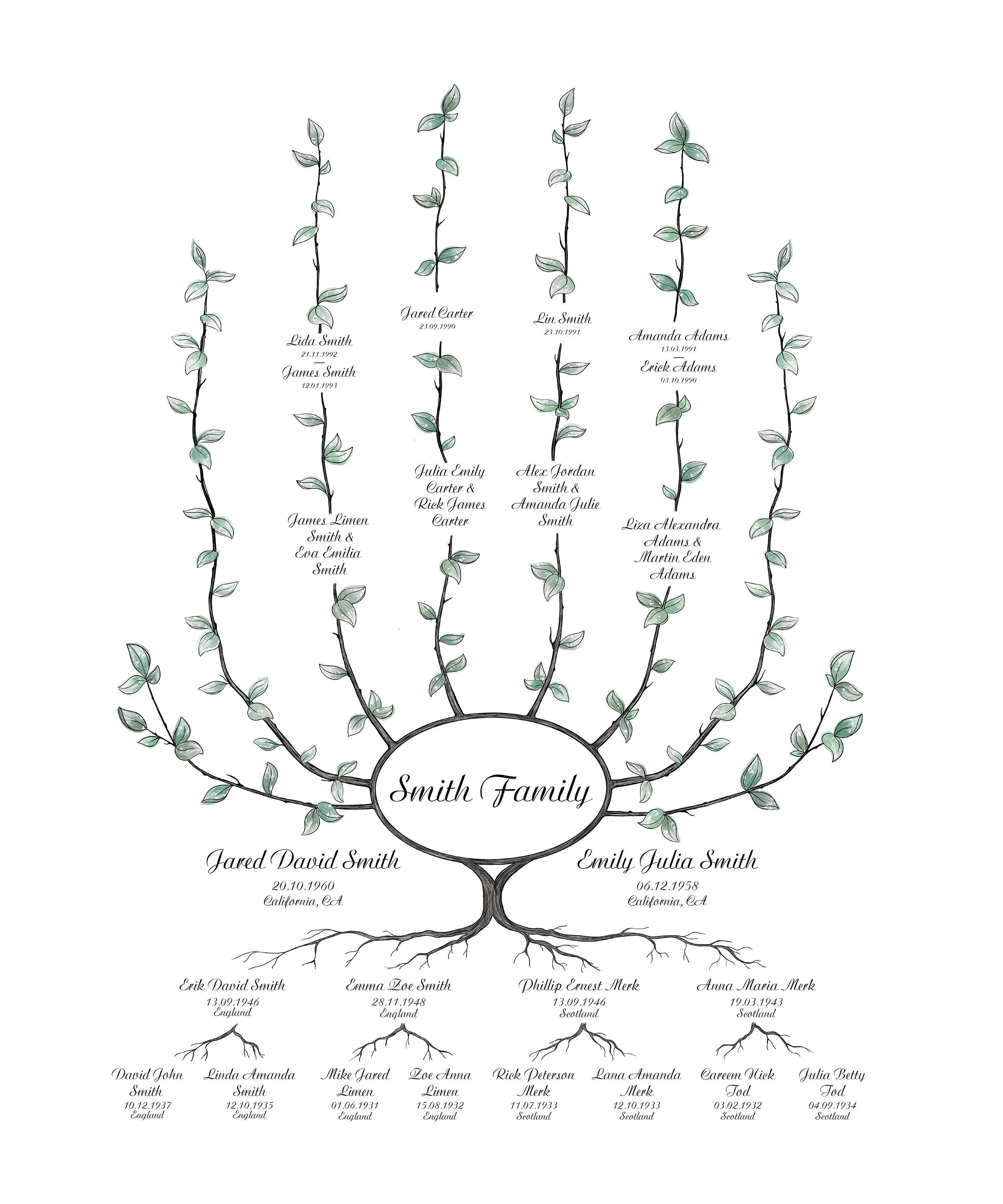 Unframed Ivy Family Tree template