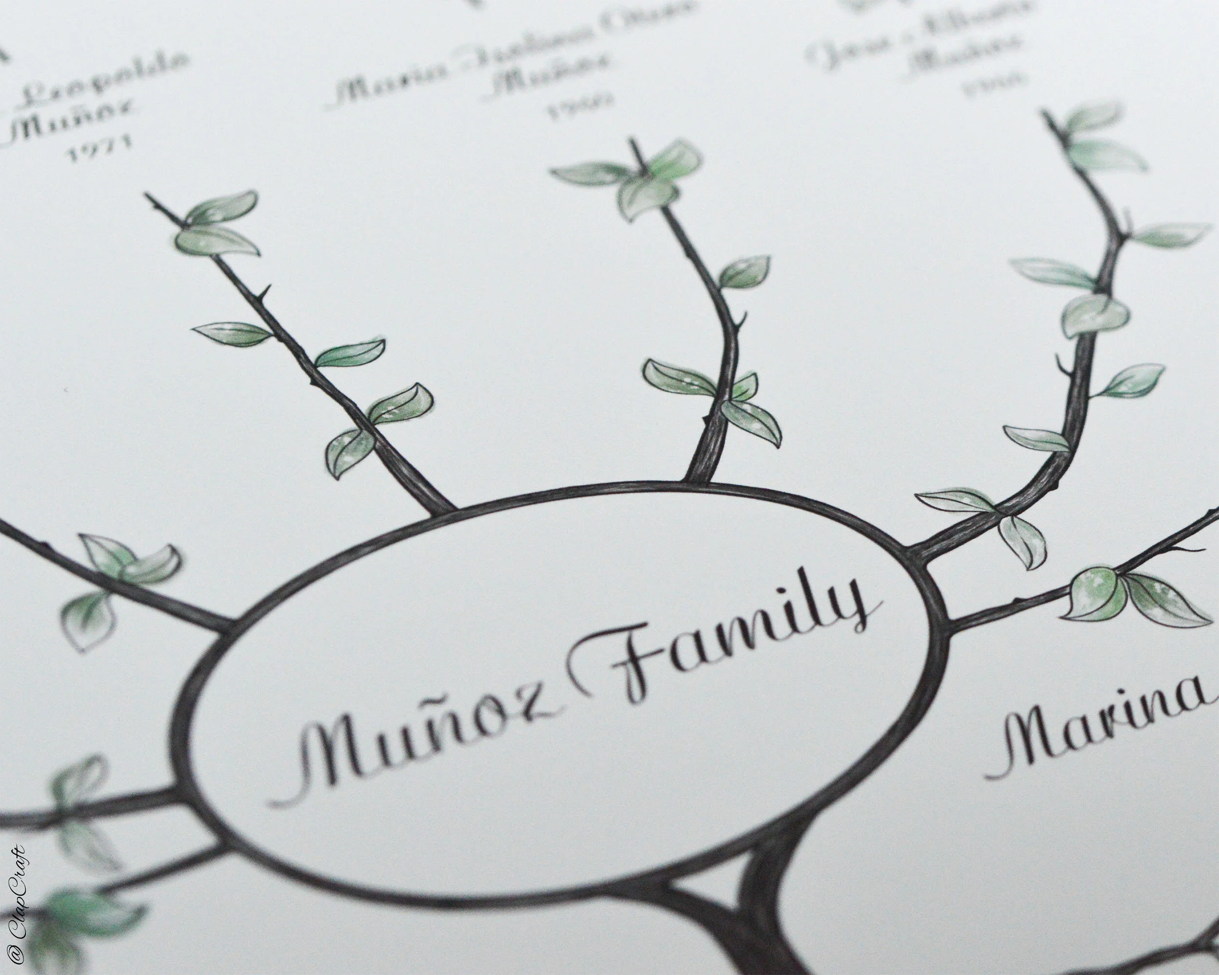 a close up look at a printed copy of an Ivy Family Tree
