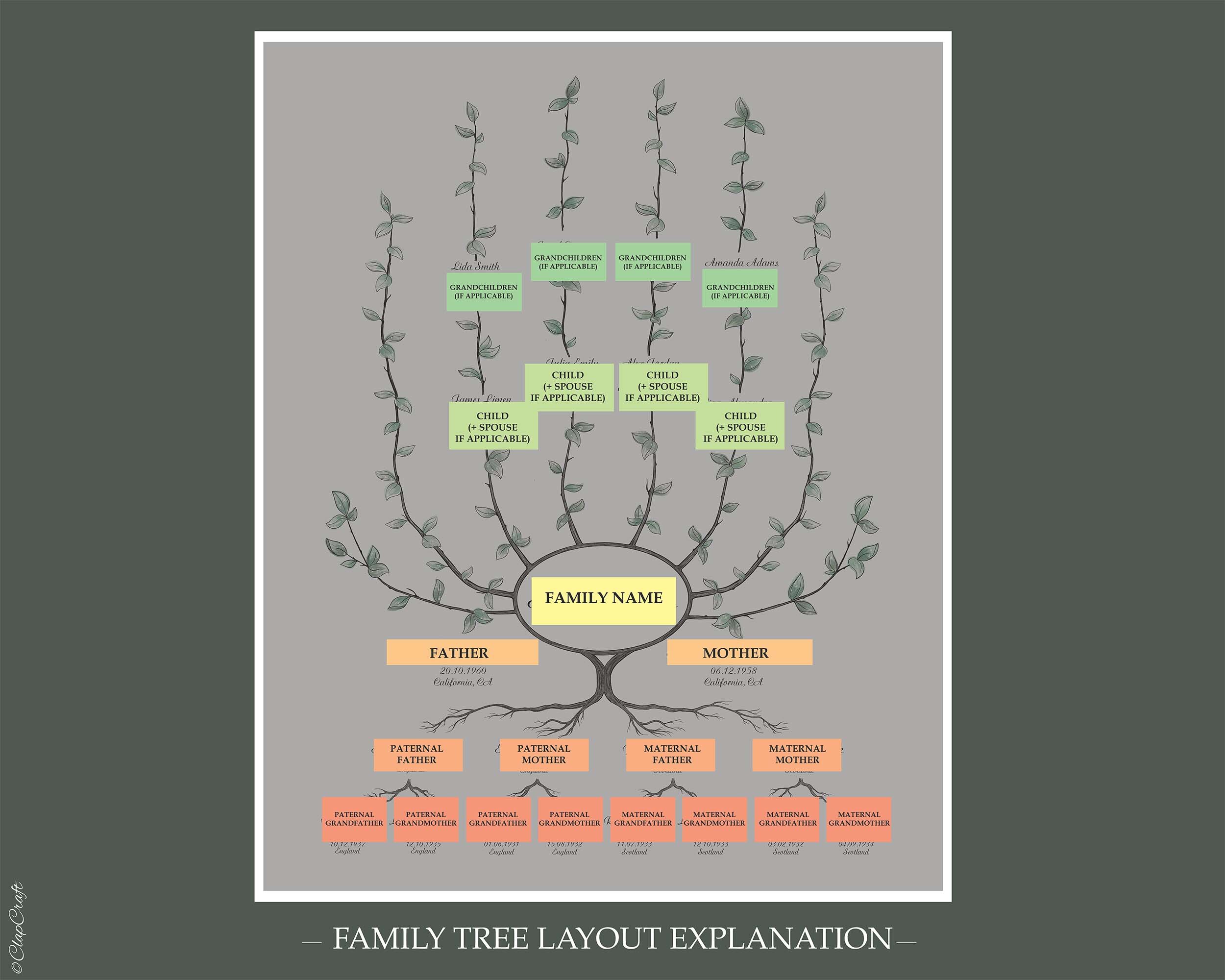 Family Tree template explanation