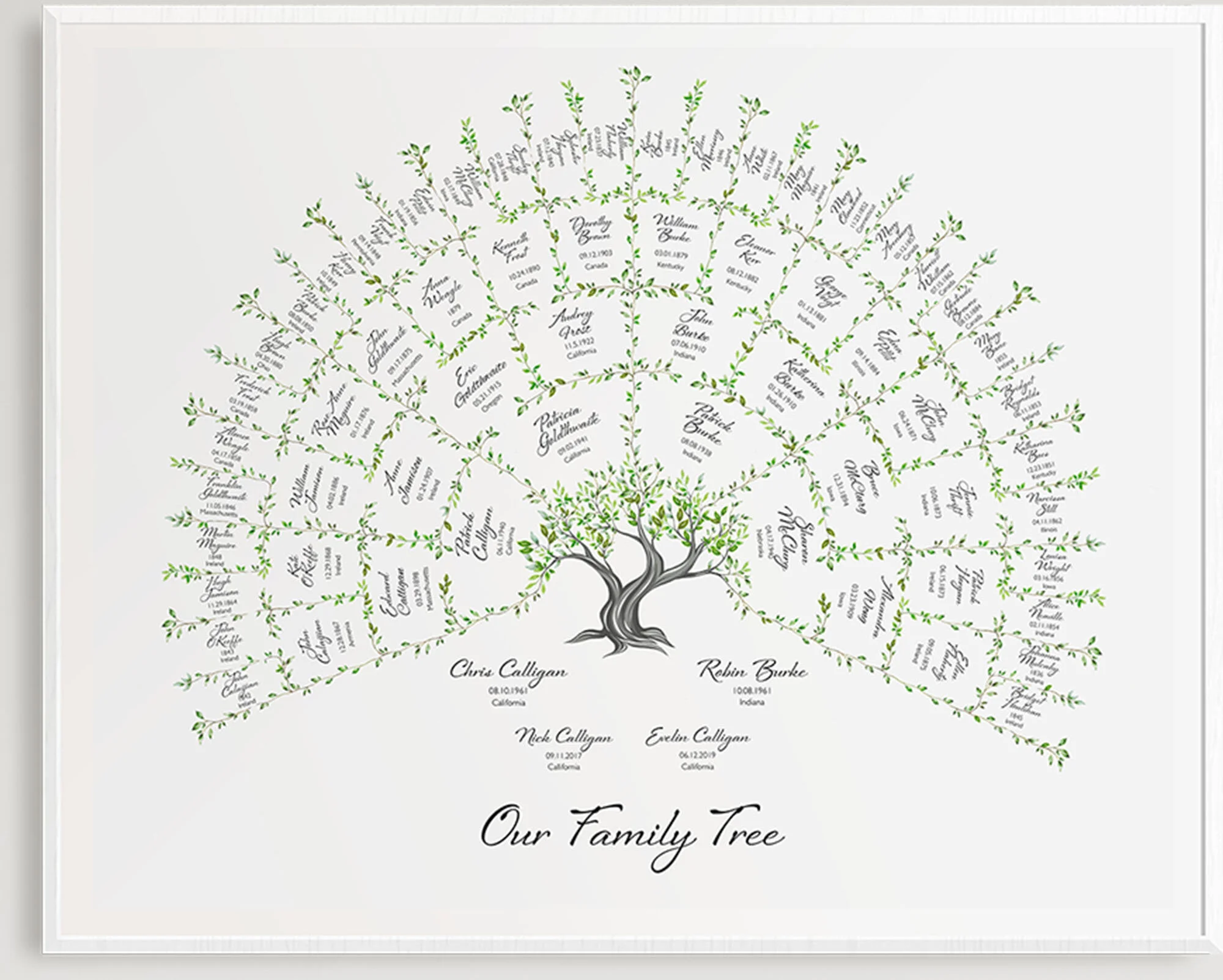 Family_Tree_Template.jpg