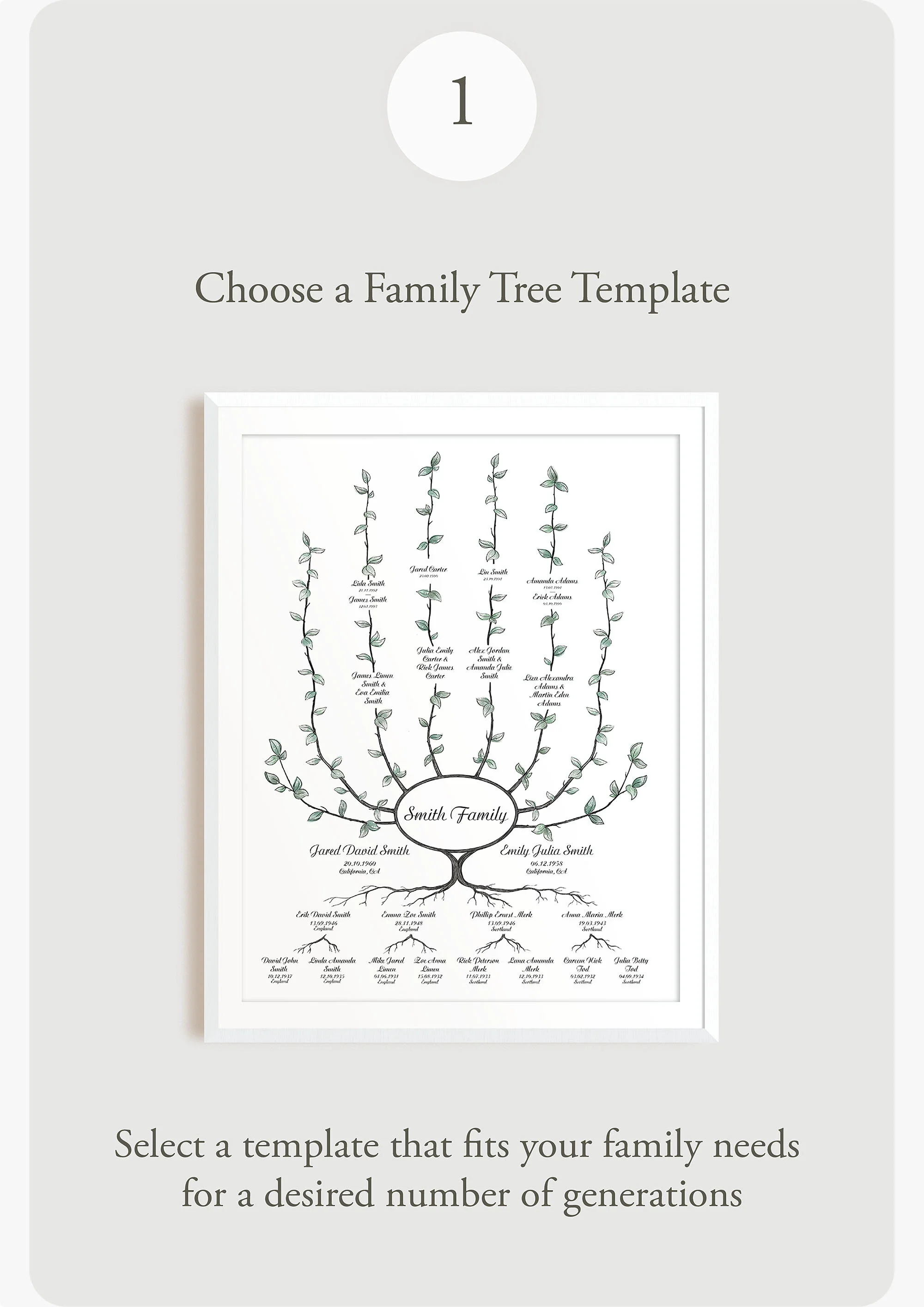 Choose Family Tree template.jpg