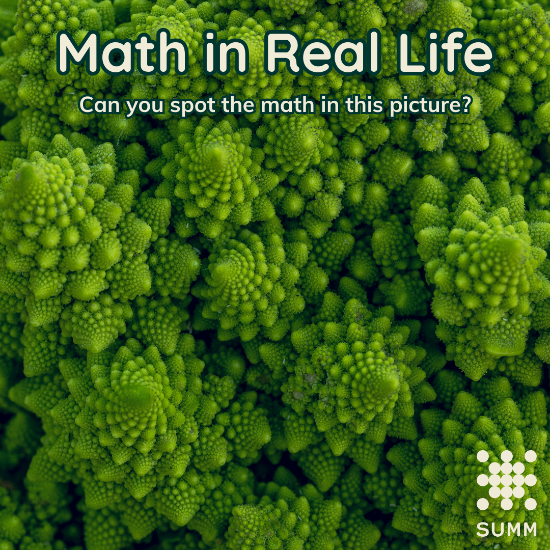 Universal Math Facts Math inβ¦ Nature β Seattle Universal Math Museum