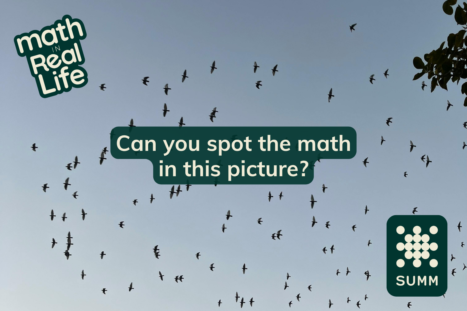Math in… Flocking