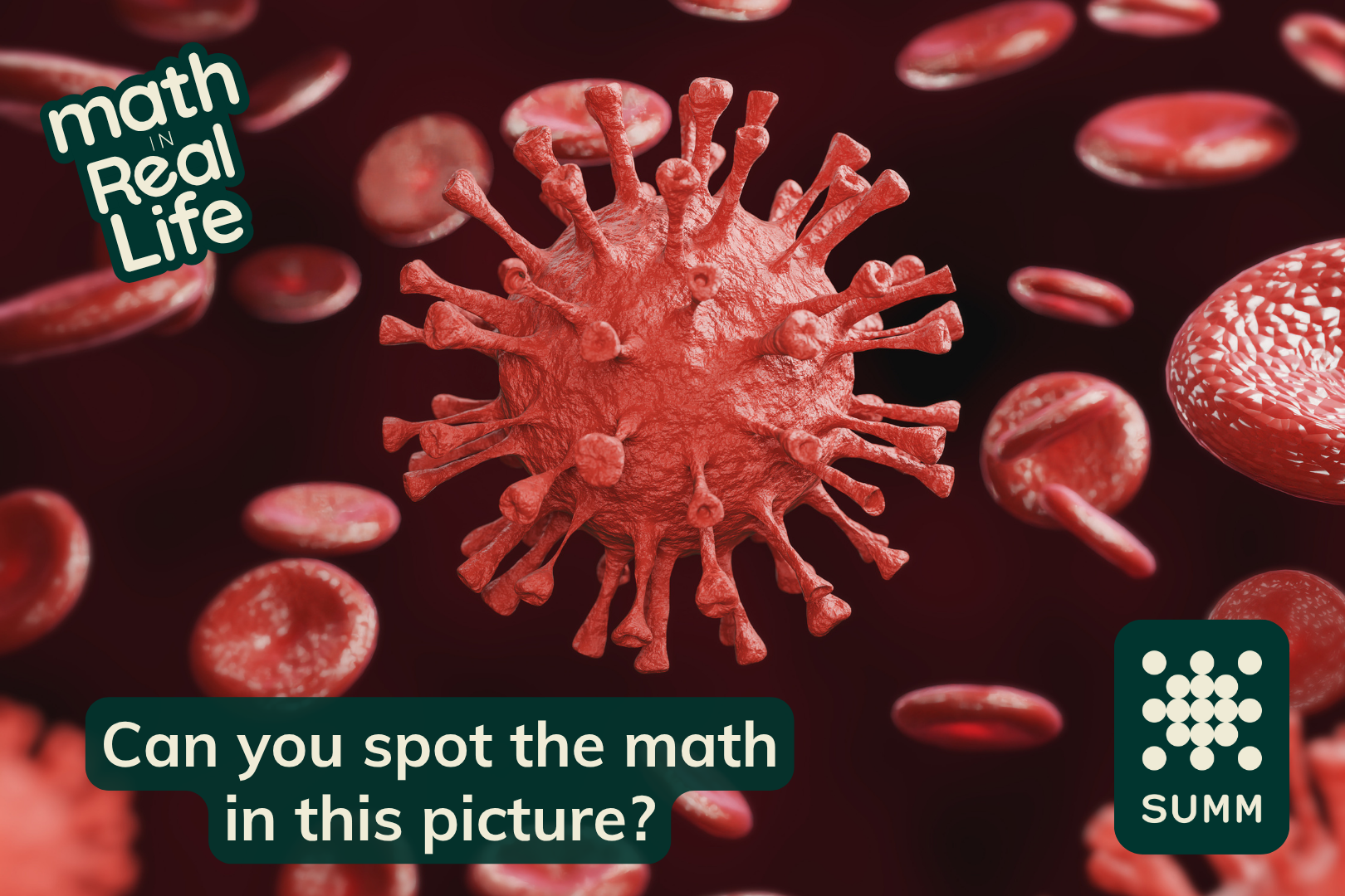 Math in… Viral Capsids