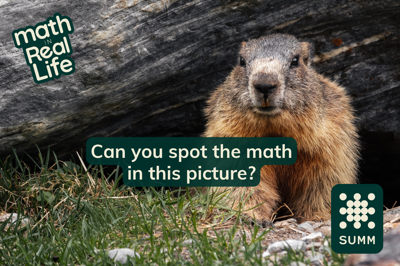 Math in… Groundhog Day