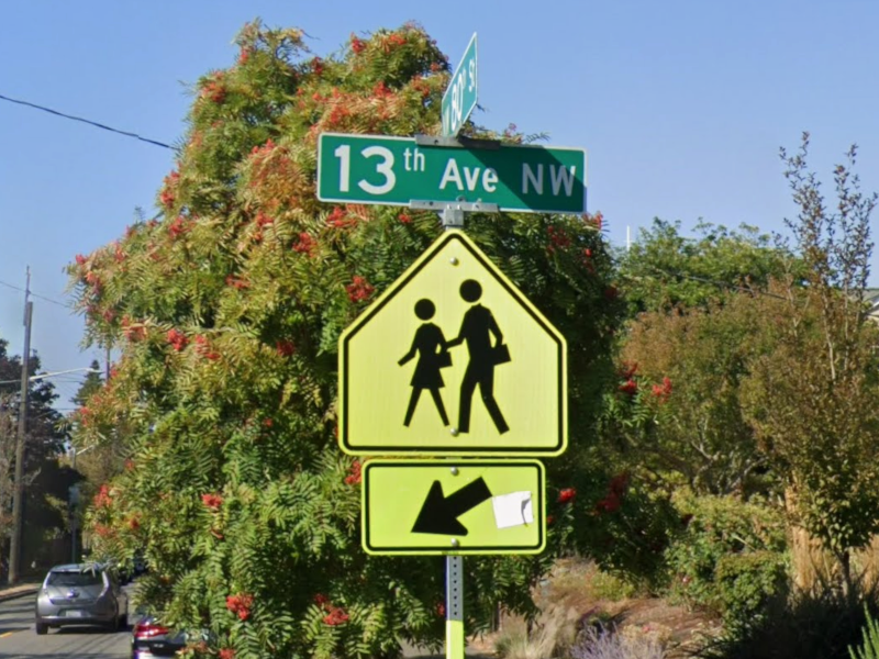 school_crossing.png
