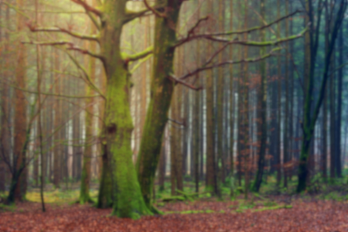 8_MIRL - Gaussian Blur_Page_1_Image_0001.png