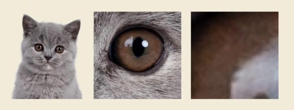 Three consecutive images of a cat, its eye, and a zoomed-in pixelated section of its eye.