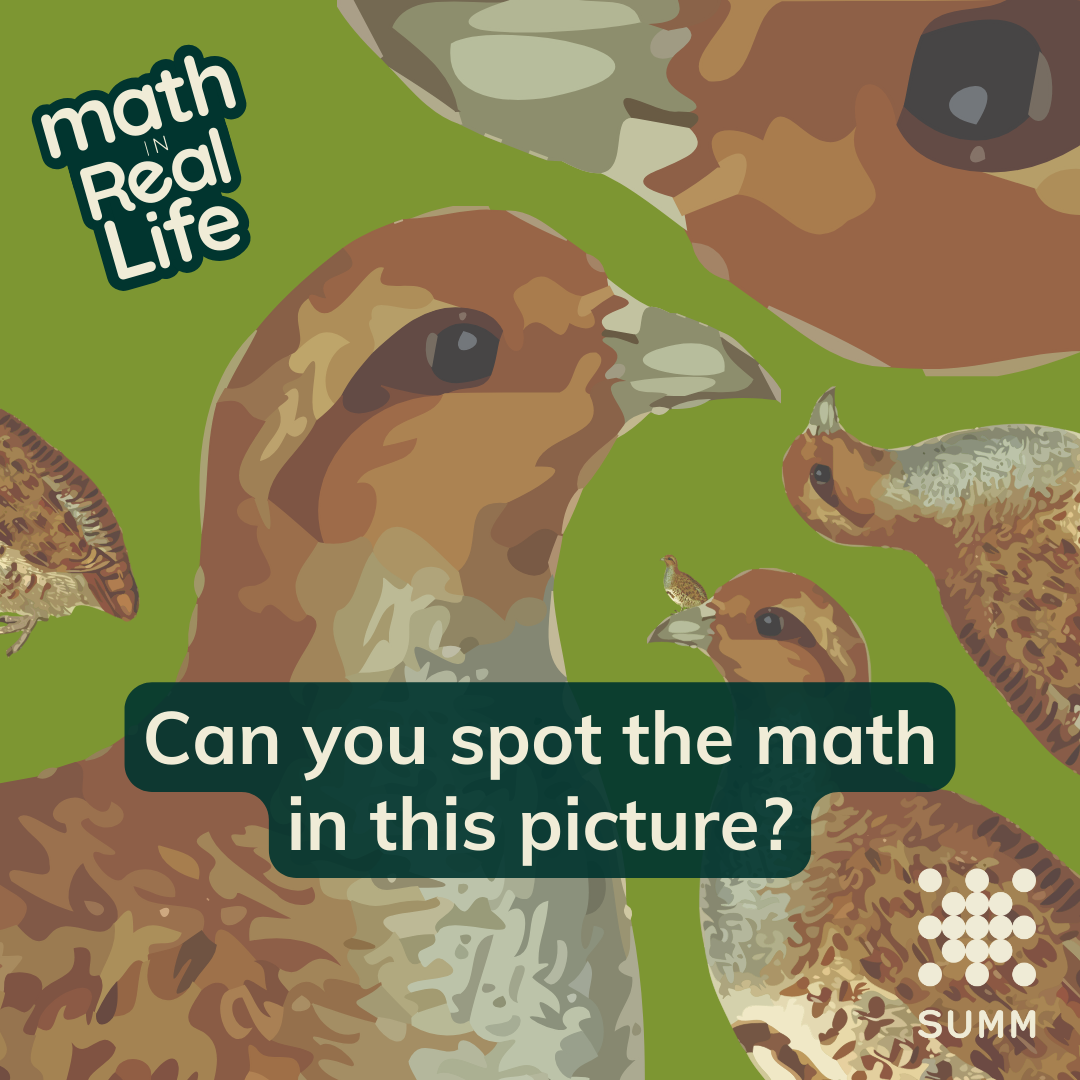 An illustration of partridges of different sizes with a green background. Text reads, 'Can you spot the math in this picture?' with a 'Math in Real Life' logo at the top left and the SUMM logo at the bottom right.