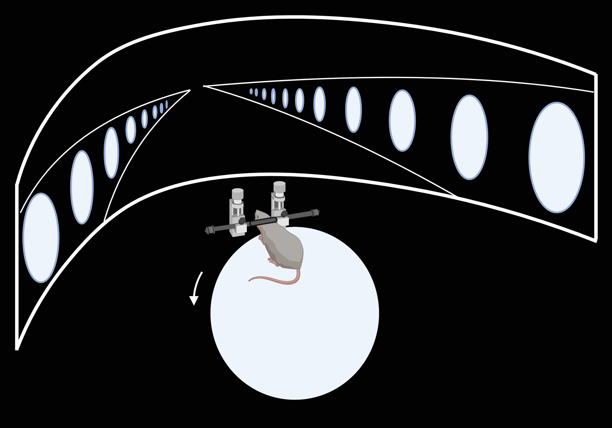 virtual reality.png