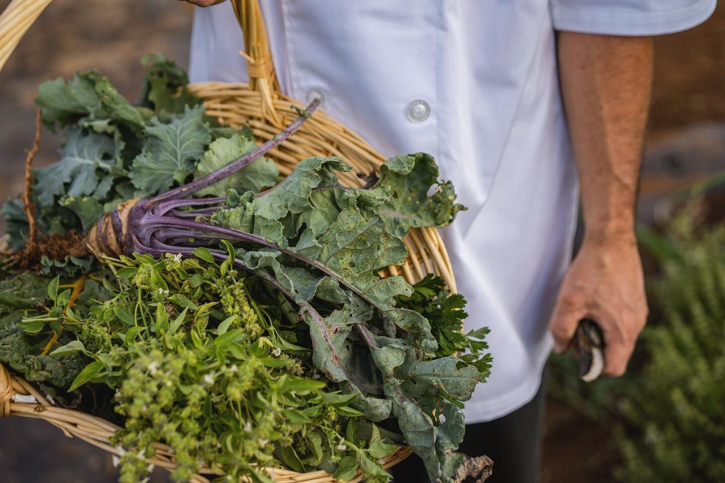 when we say only the freshest ingredients, we mean it. #farmtotable #fromthegardentothetable #thekentuckycastle