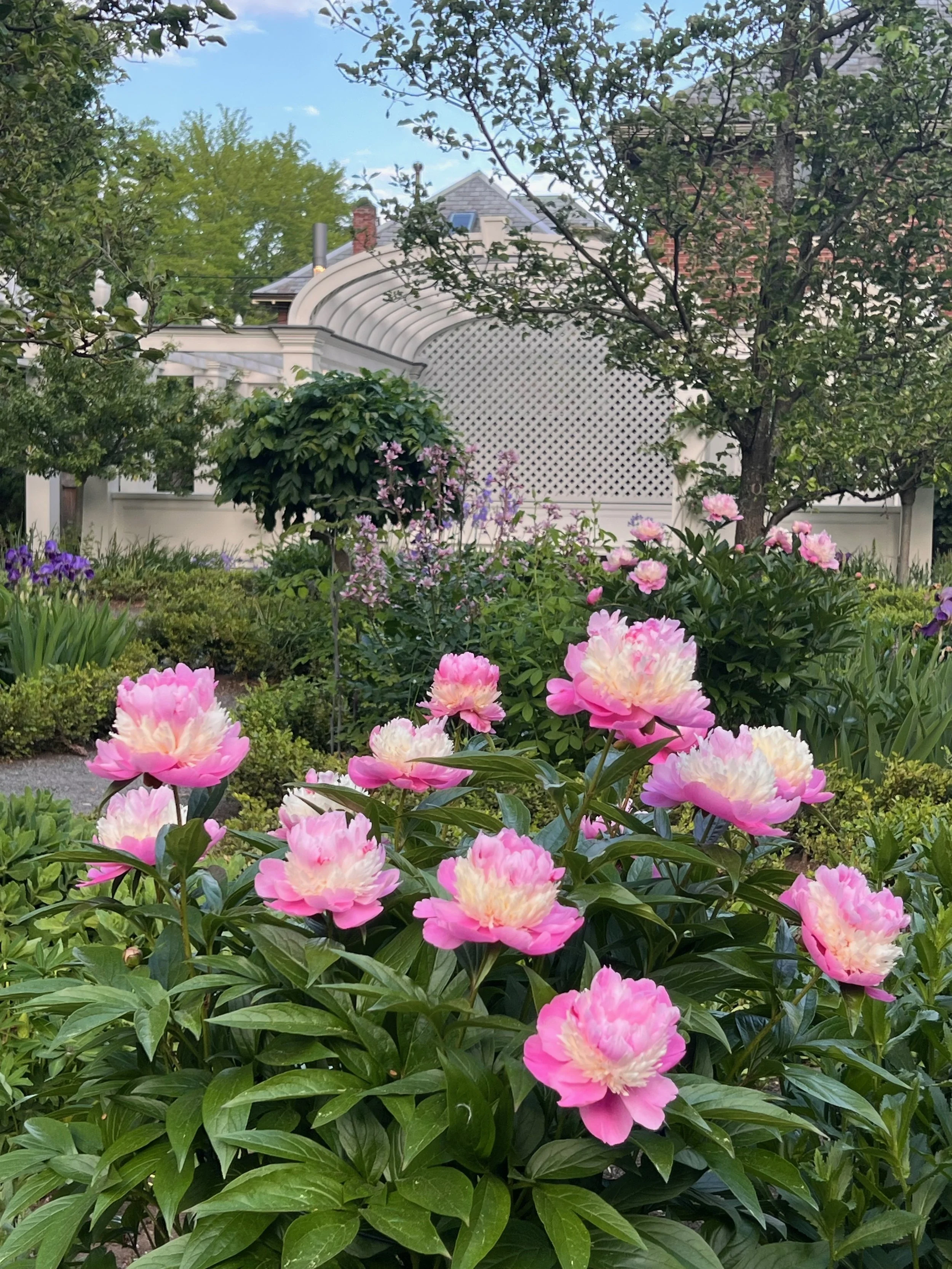 LW-shutters-May-2025 - 10 of 12.jpeg