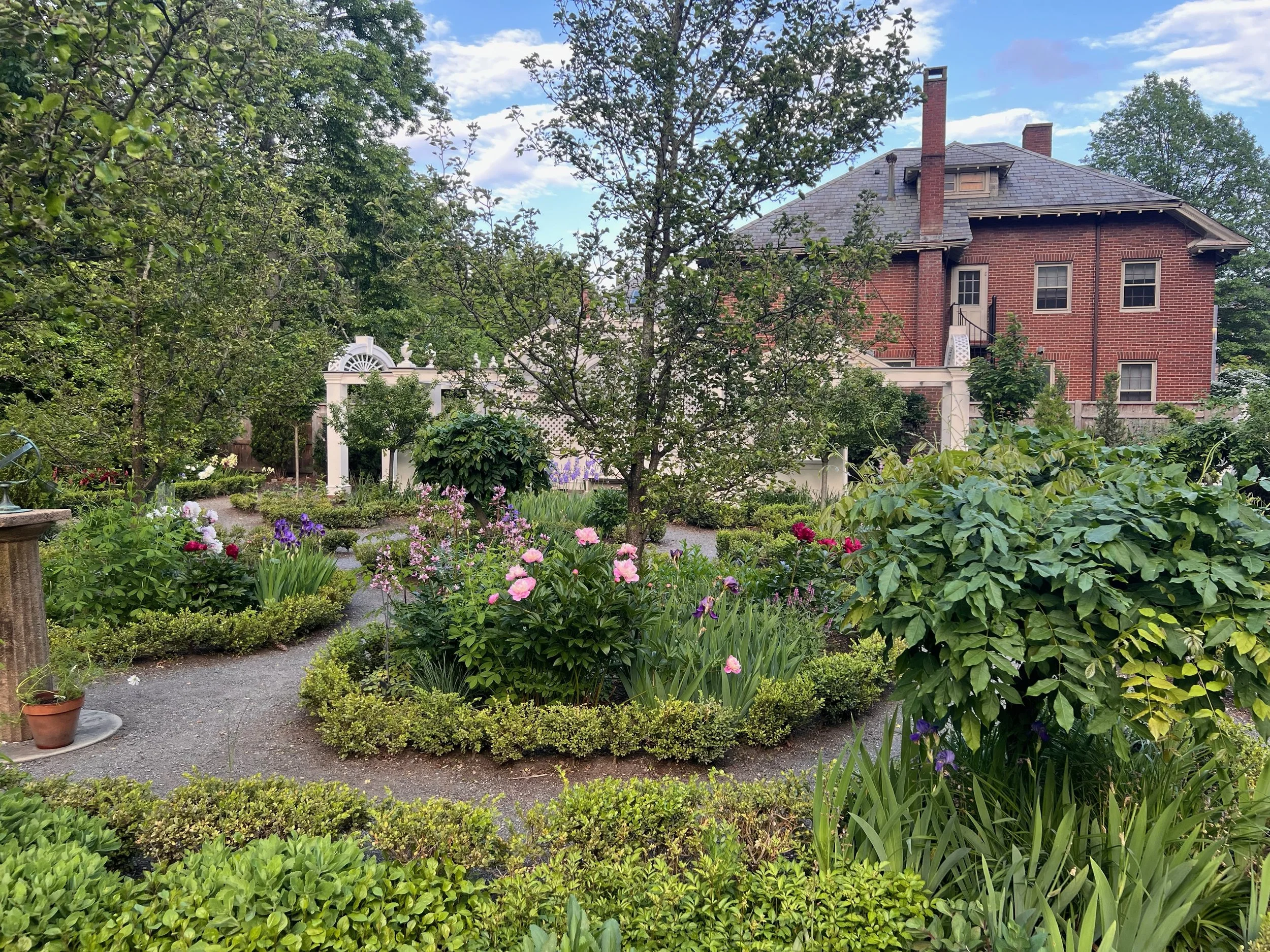 LW-shutters-May-2025 - 11 of 12.jpeg