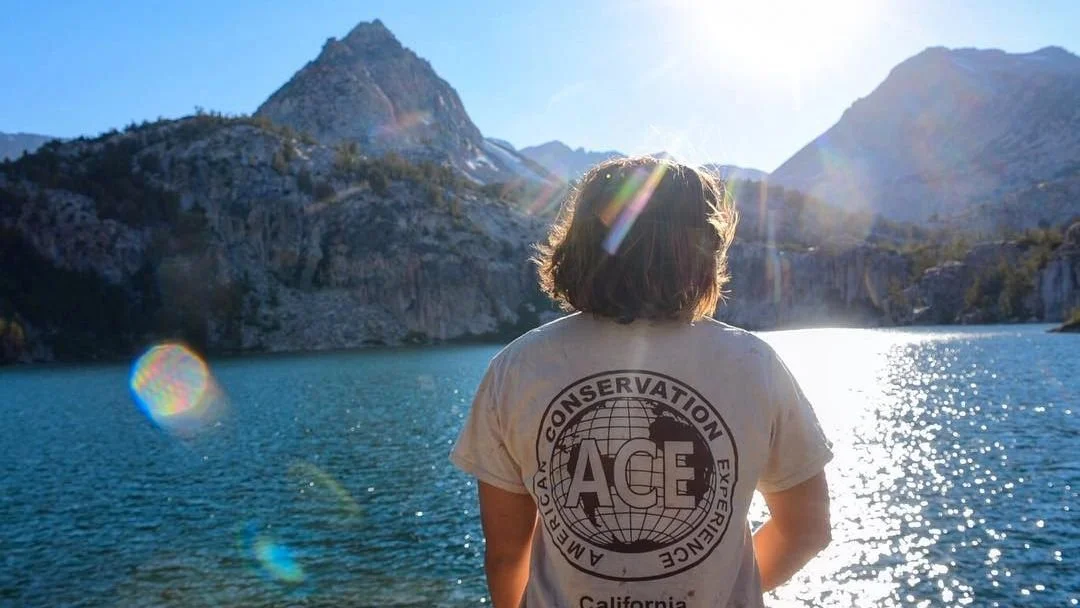 ace-california-american-conservation-experience-national-park-corps.jpeg