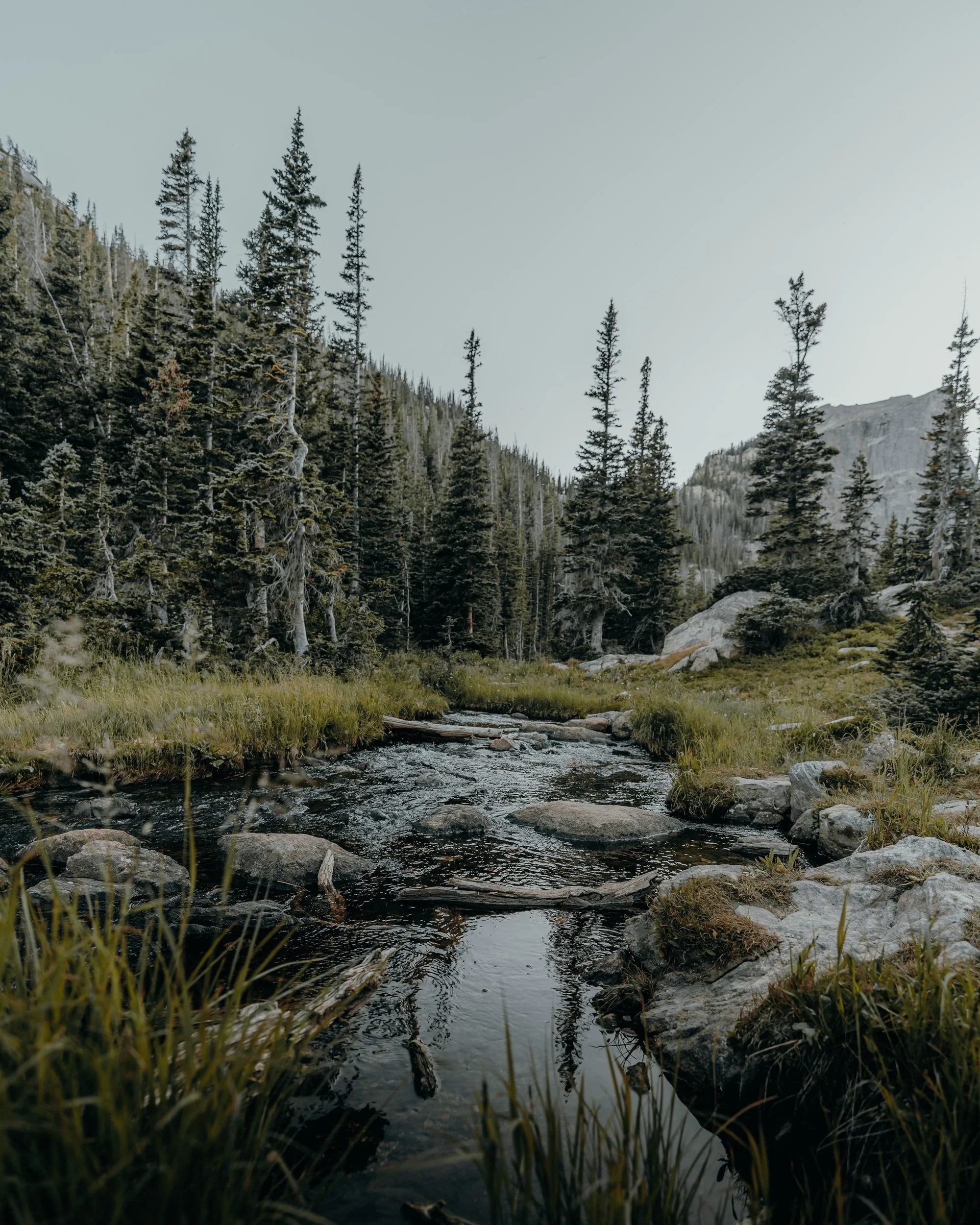 unsplash-image-OzIXi9Q-6nE.jpg