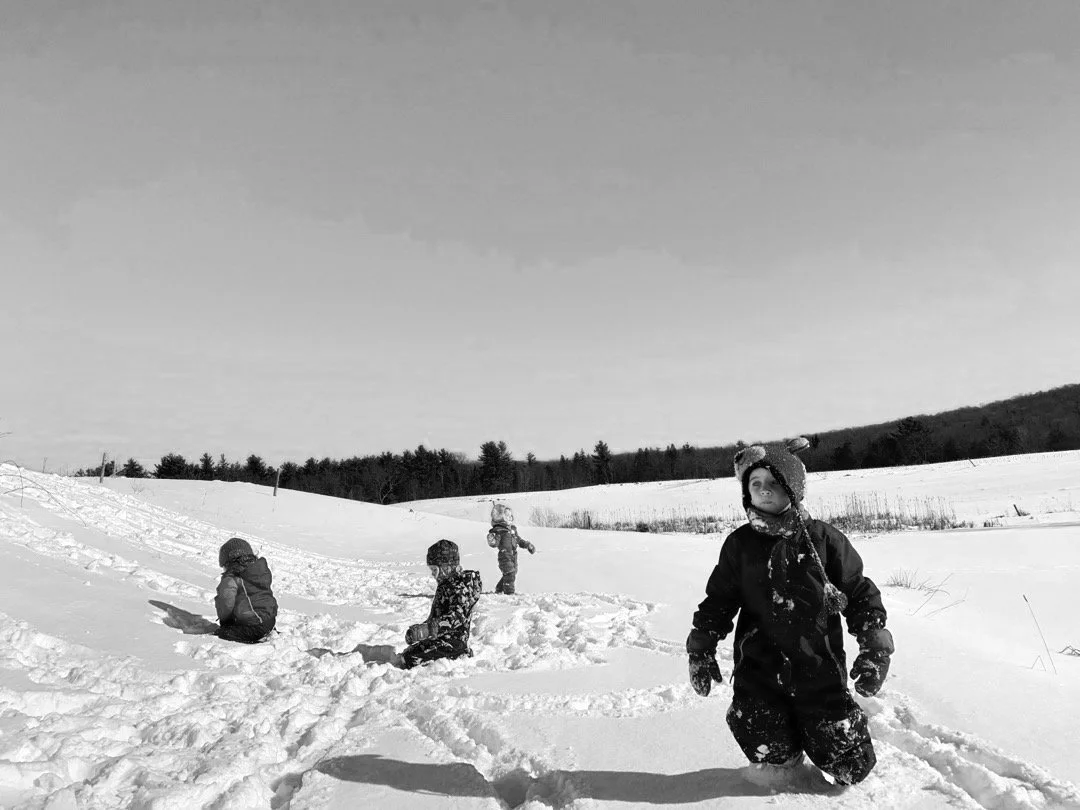 Expansion — Craftsbury Saplings