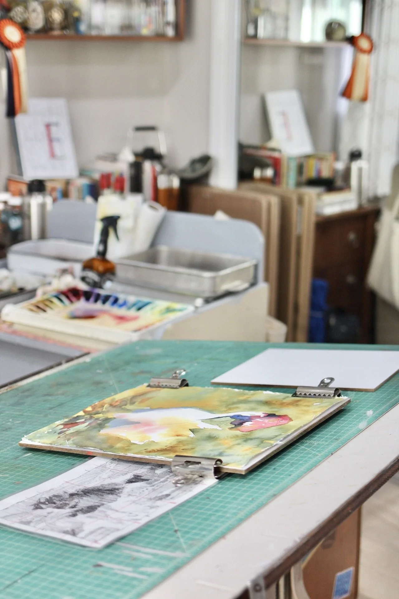 IMG_4719.jpg