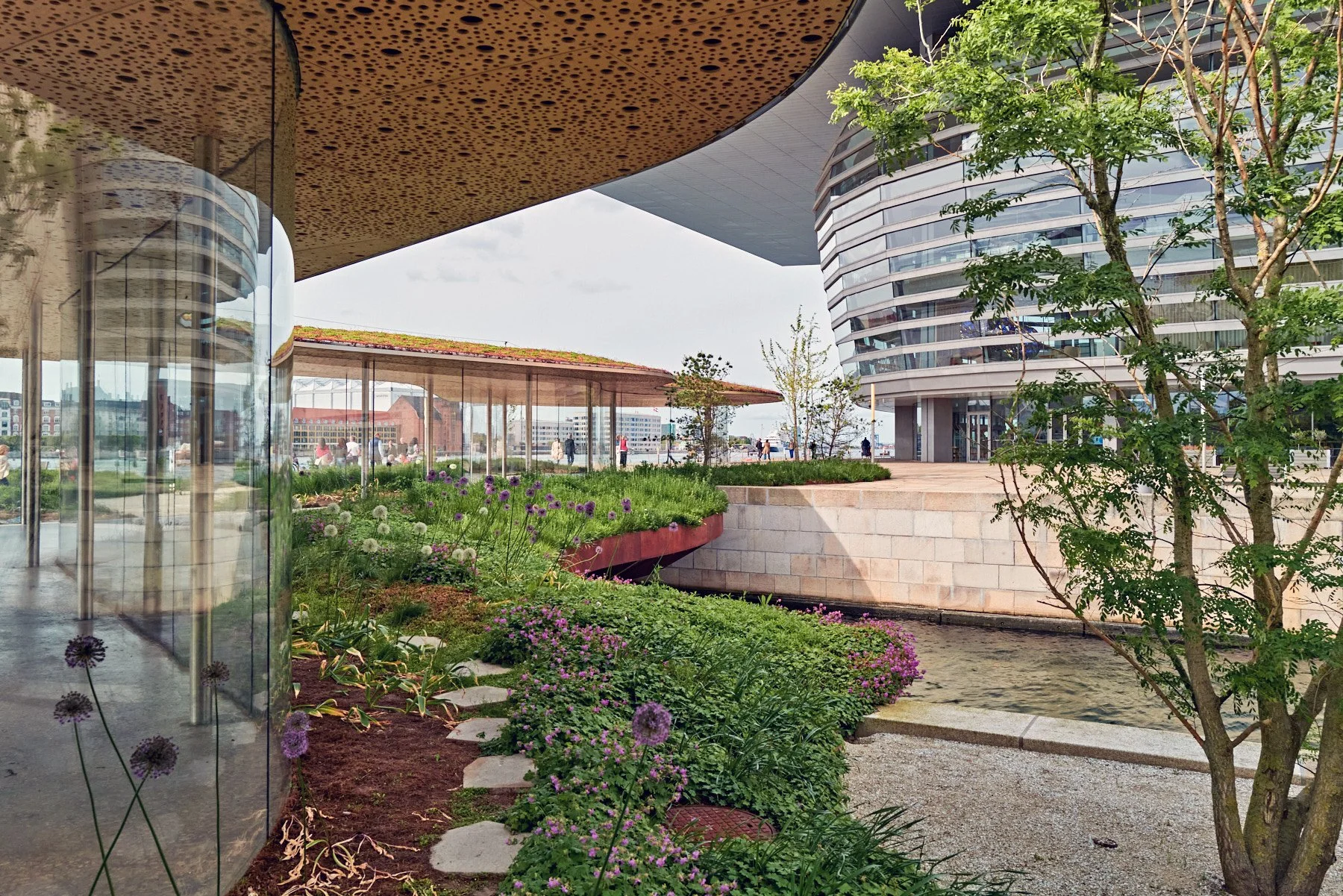 L1012355.jpg