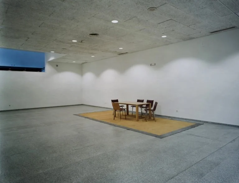 09-Hall.Fritsch.Magic_.Carpet.1-1-768x590.jpg