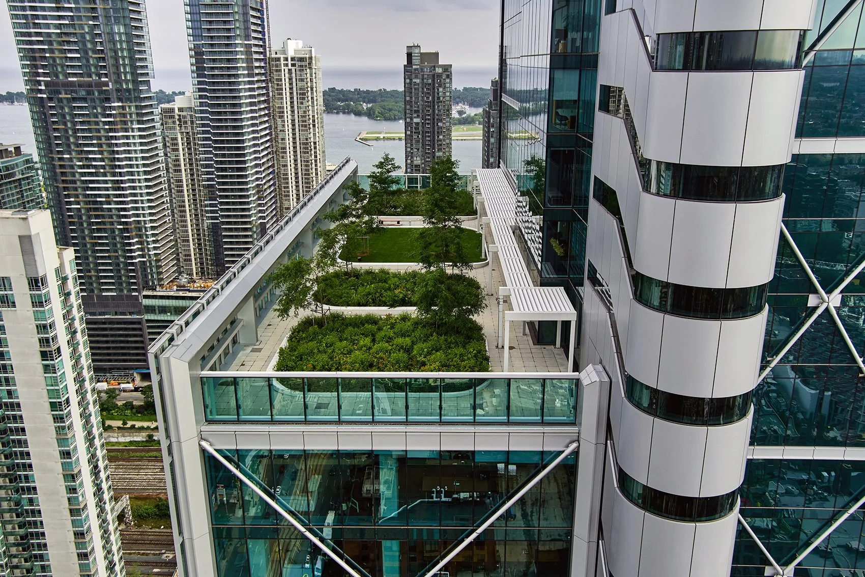 View from a high-rise building showing a green rooftop garden, neighboring skyscrapers, and a river in the background.