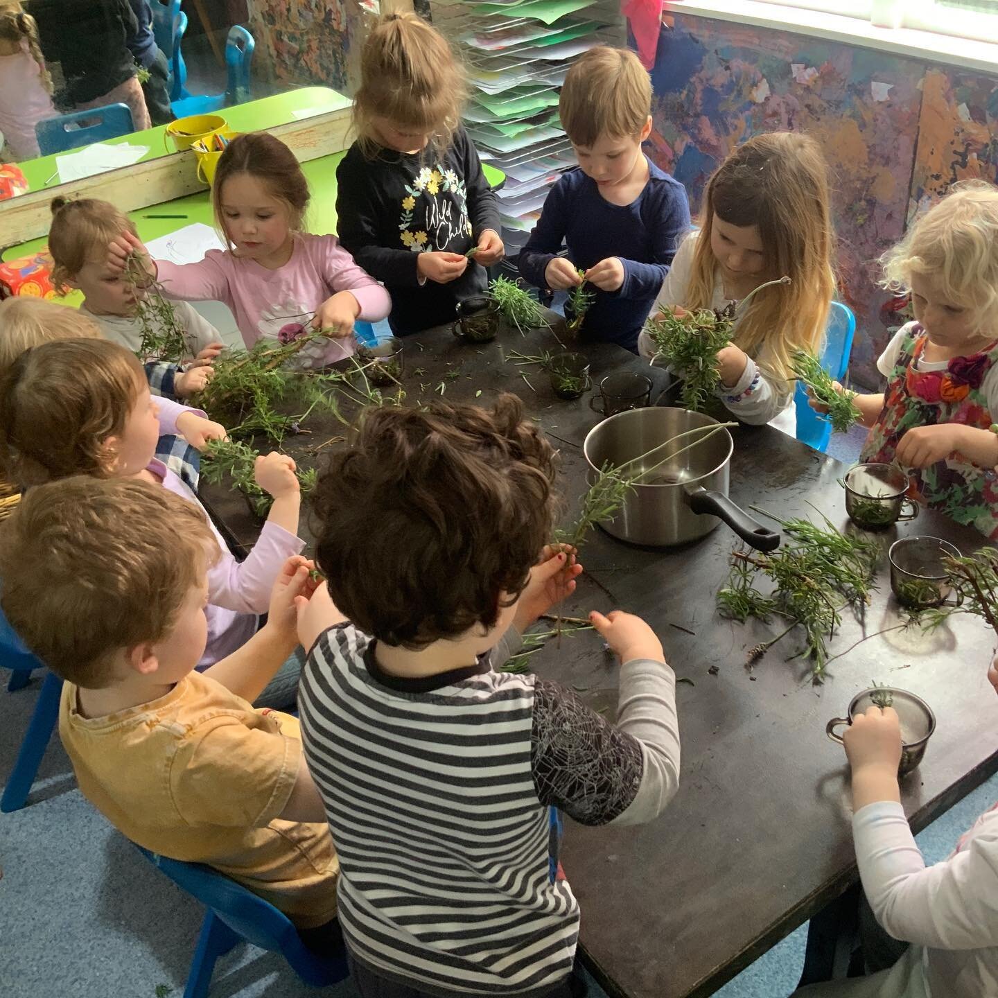 Play dough adventure experiment! We finally finished our rosemary oil so this time we tried making lavender oil. The children helped pick the leaves and flowers of the branches. We slow cooked it with grape seed oil.
Today we made play dough with our