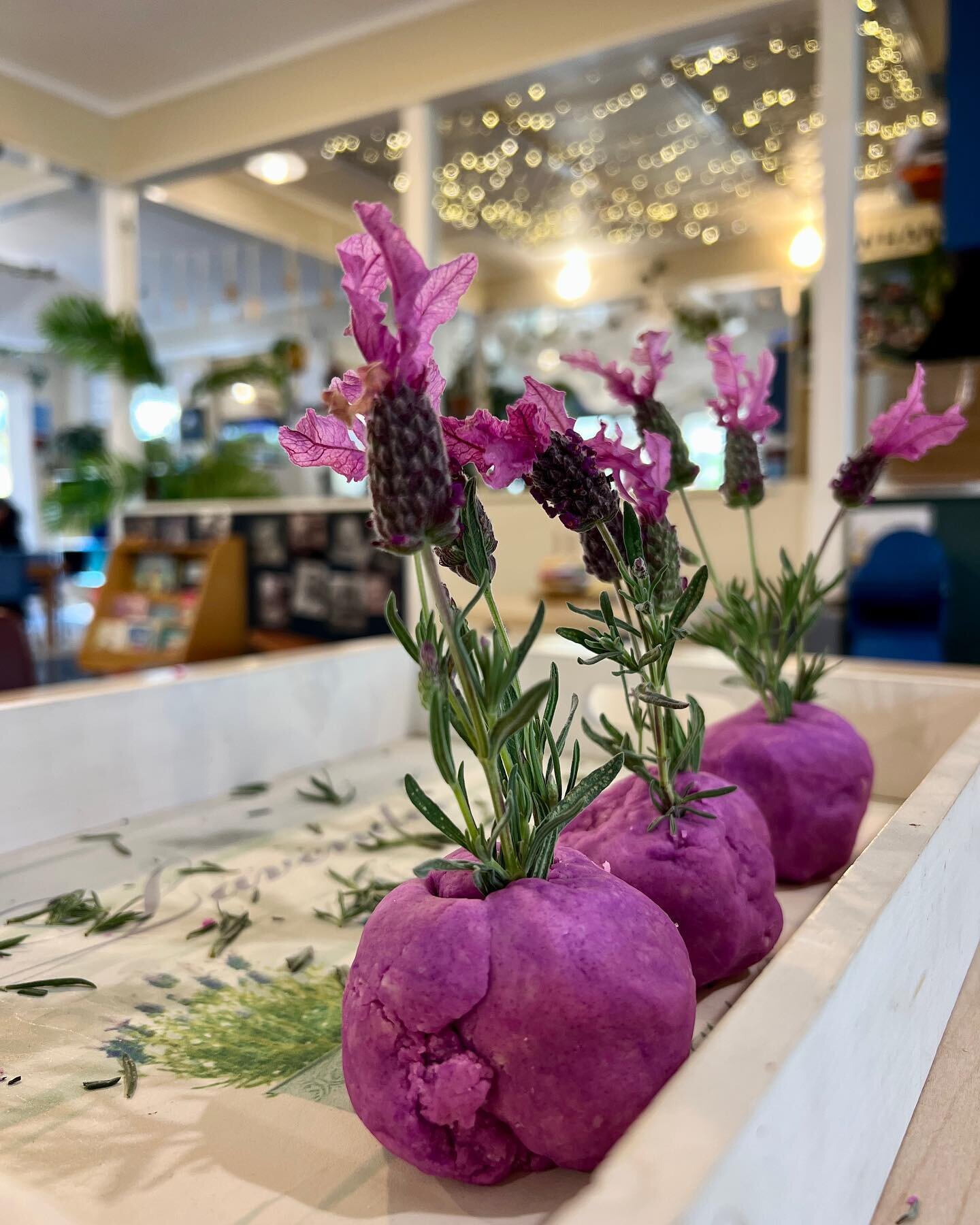 Check out this play dough adventure! What a cool lavender themed invitation to play at Tūī Twos &amp; Tots! As well as learning more about lavender and the colour purple/waiporoporo this is a rich sensory experience giving the two year olds a opportu
