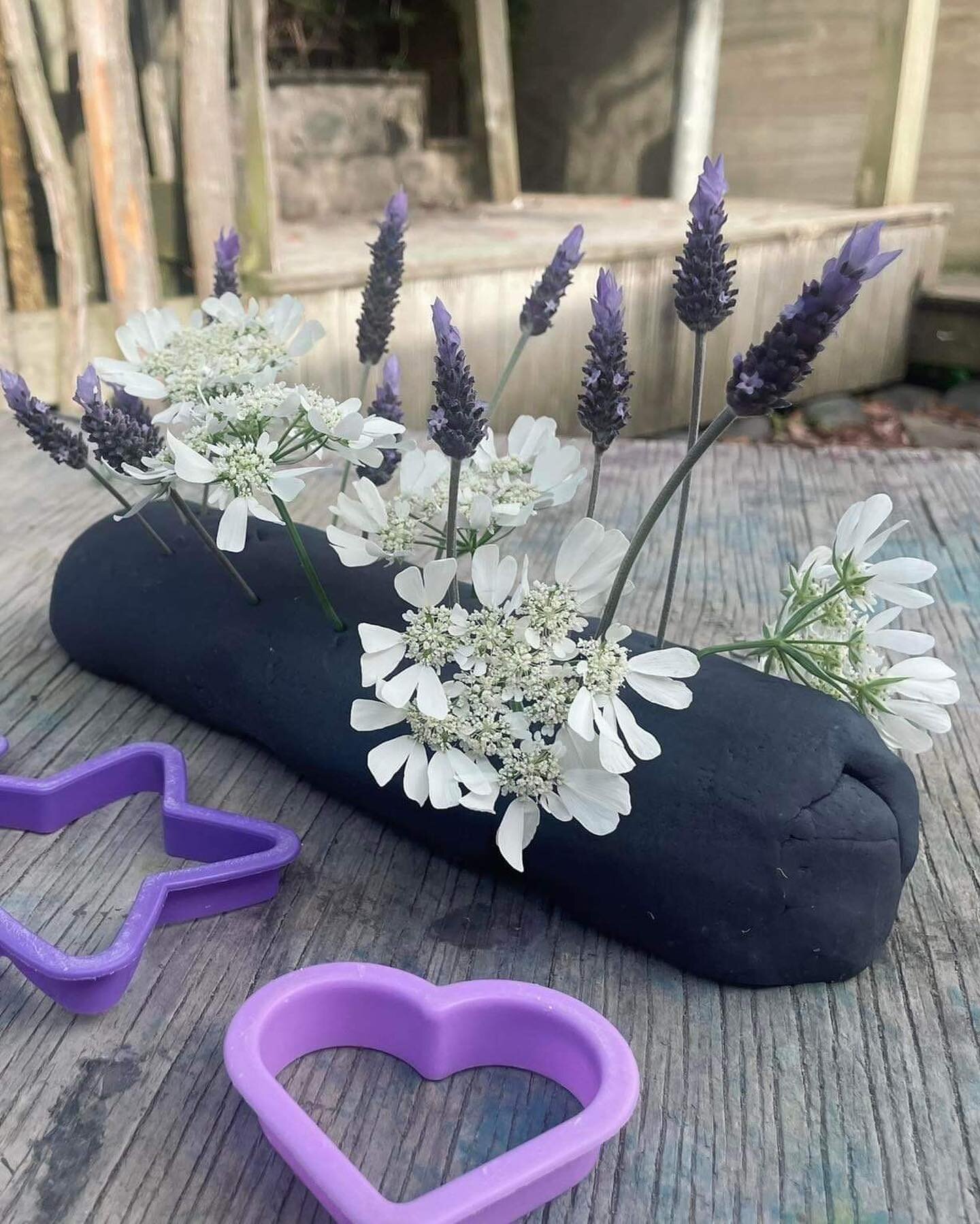Black play dough with mint essence. 
Lavenders used as another scent to add with the play dough scent. White flowers for contrast.  Children made there own &lsquo;flower gardens&rsquo; out of different shapes.
#playdoughadventures #sensoryplay #tuiea