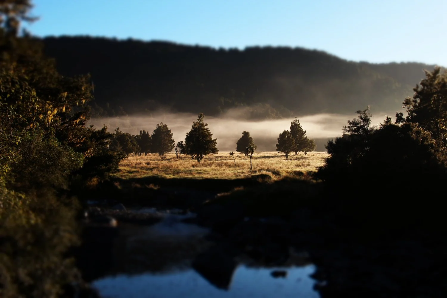 Landscape+Small-13.jpg