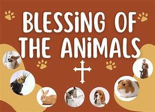 Blessing of the animals 