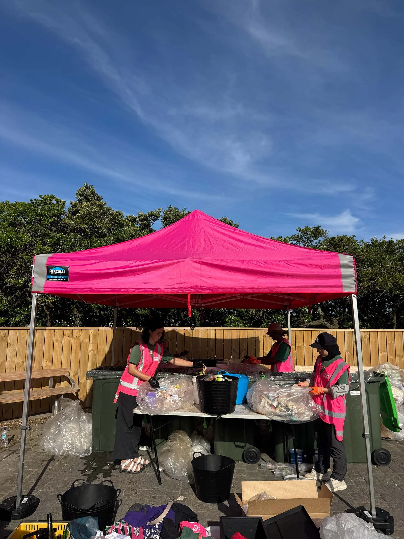Island Bay Festival | 74% Recovery