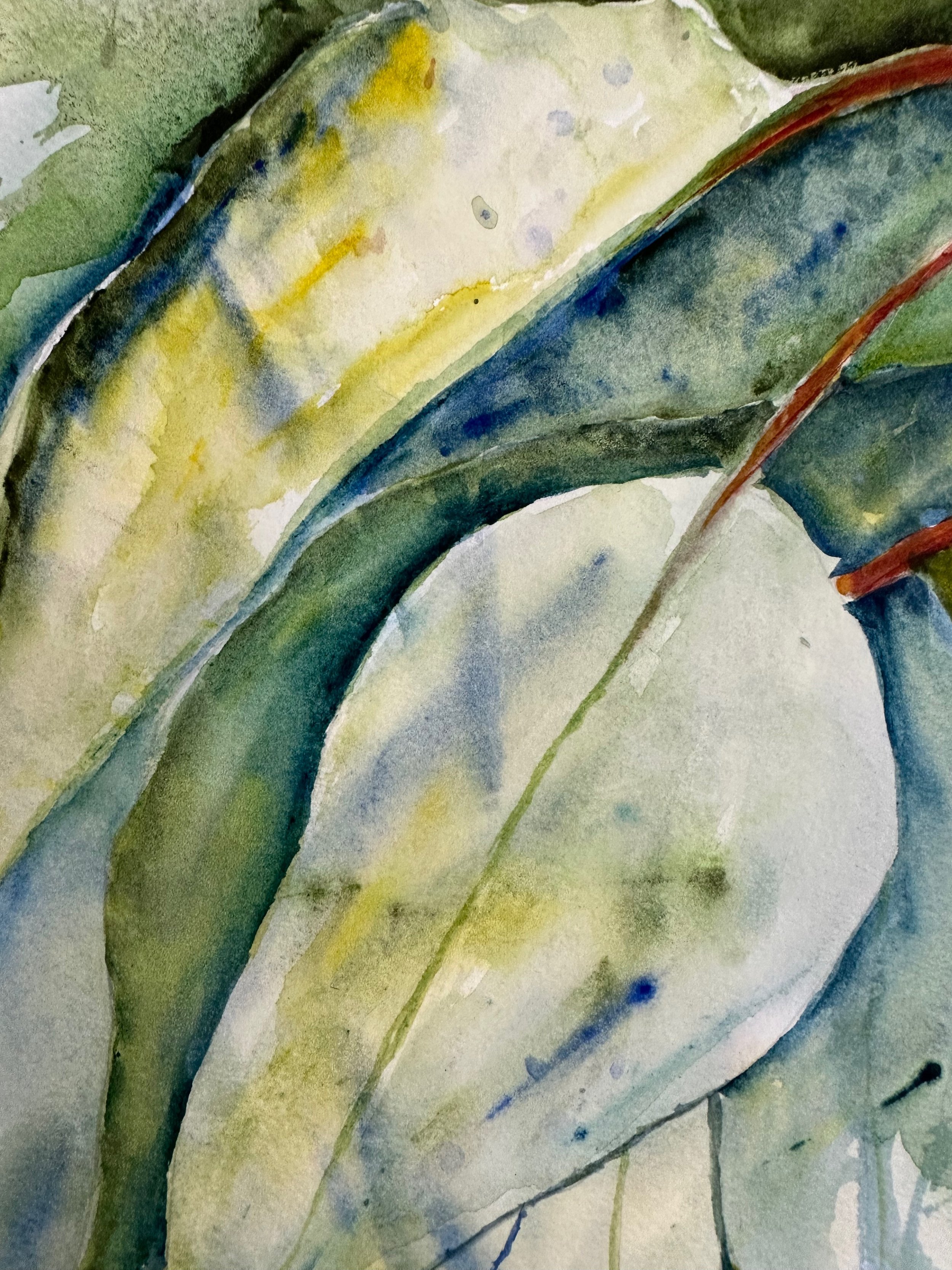 watercolour-artwork-gum_3.jpeg
