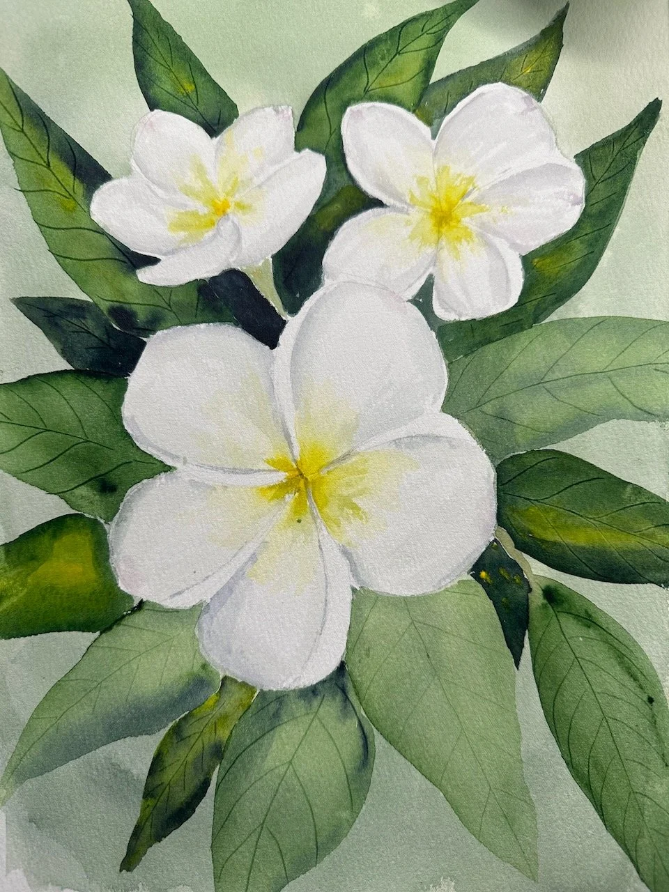 Frangipani ~ Negative Painting