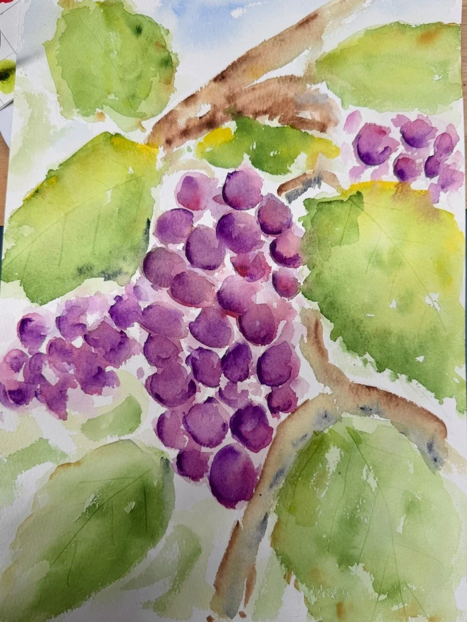 Grapes 25th June.jpeg