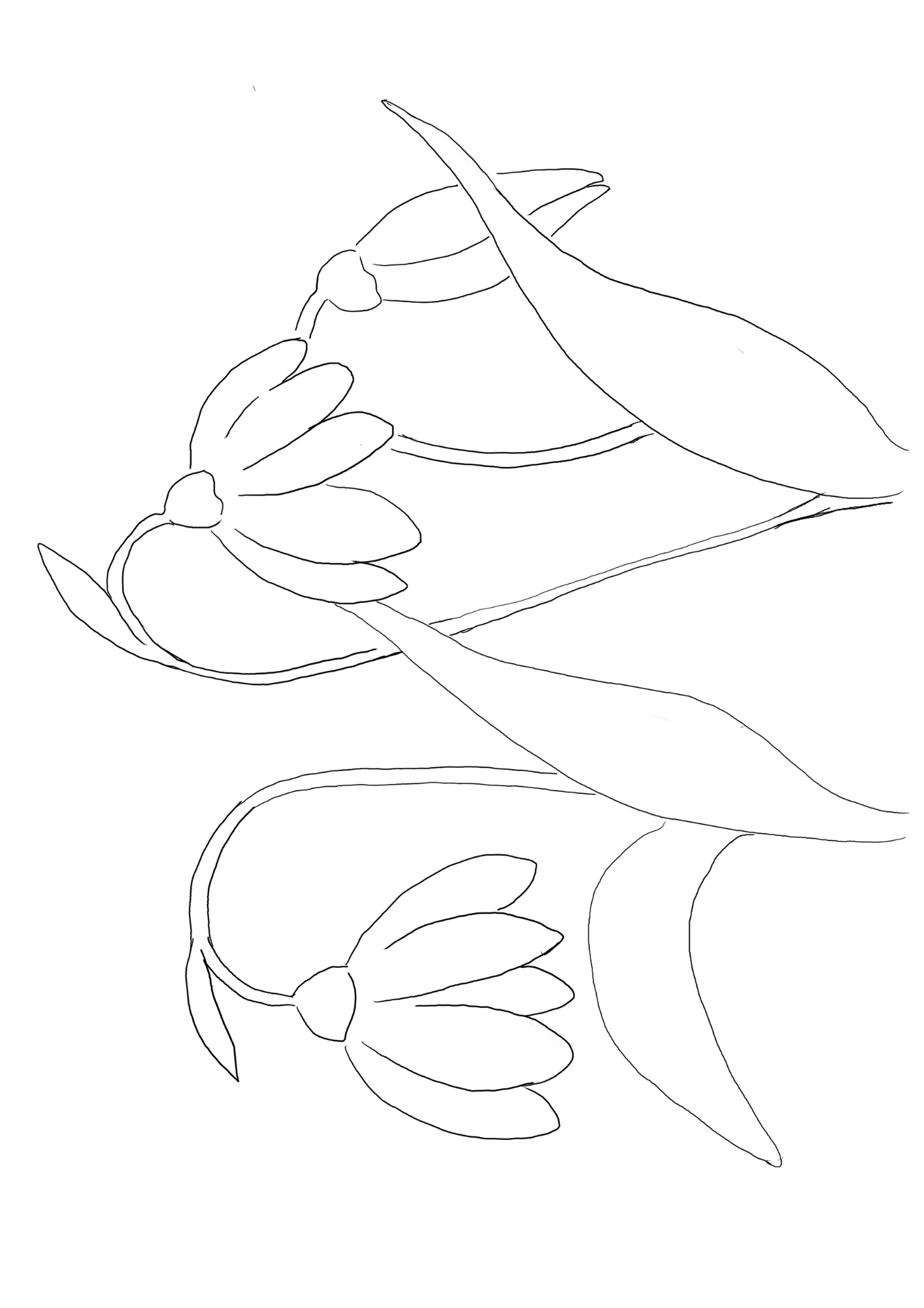 snow drop dark outline.png