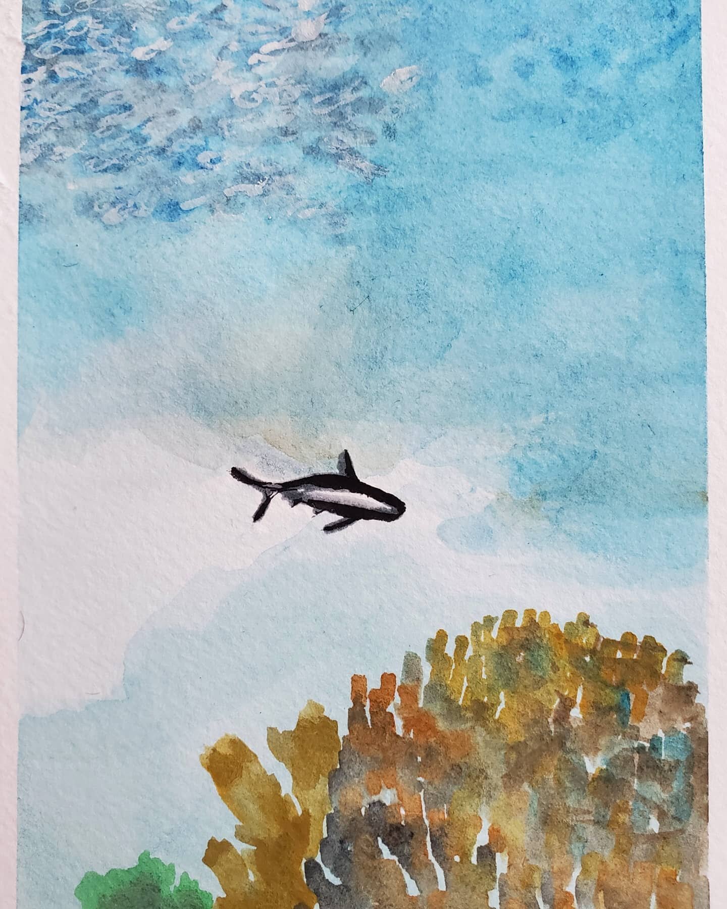 Day 12 of 100 days of art. More sharks, and a cloaked school of fish. Maybe sharks are becoming an obsession. 

#the100dayproject #wnzchallenge2021 #watercolour #underwaterart #sharks #freedivingart #nzartist #printmakerspainting #sharkart #oceanart 