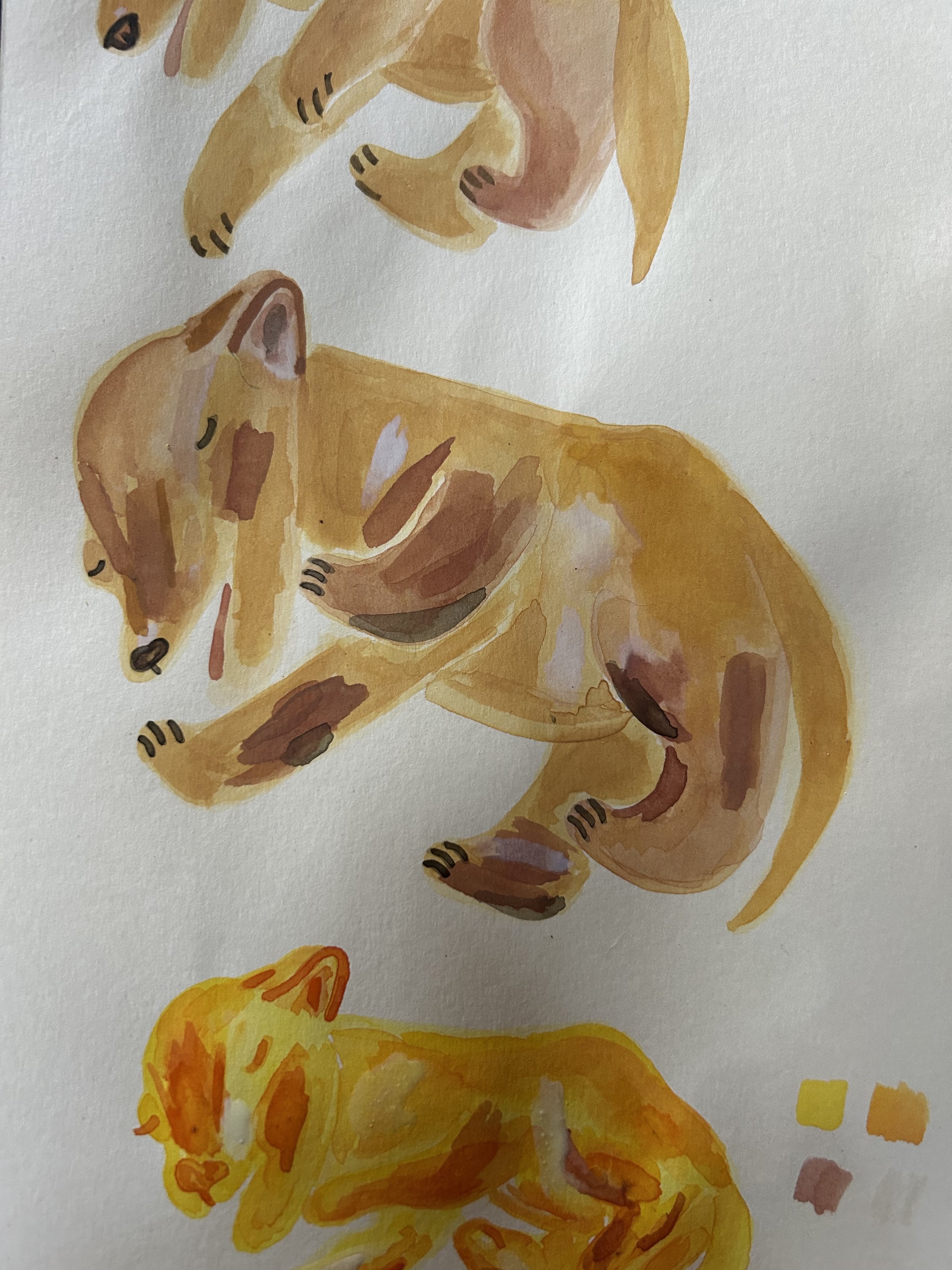 sketchbook