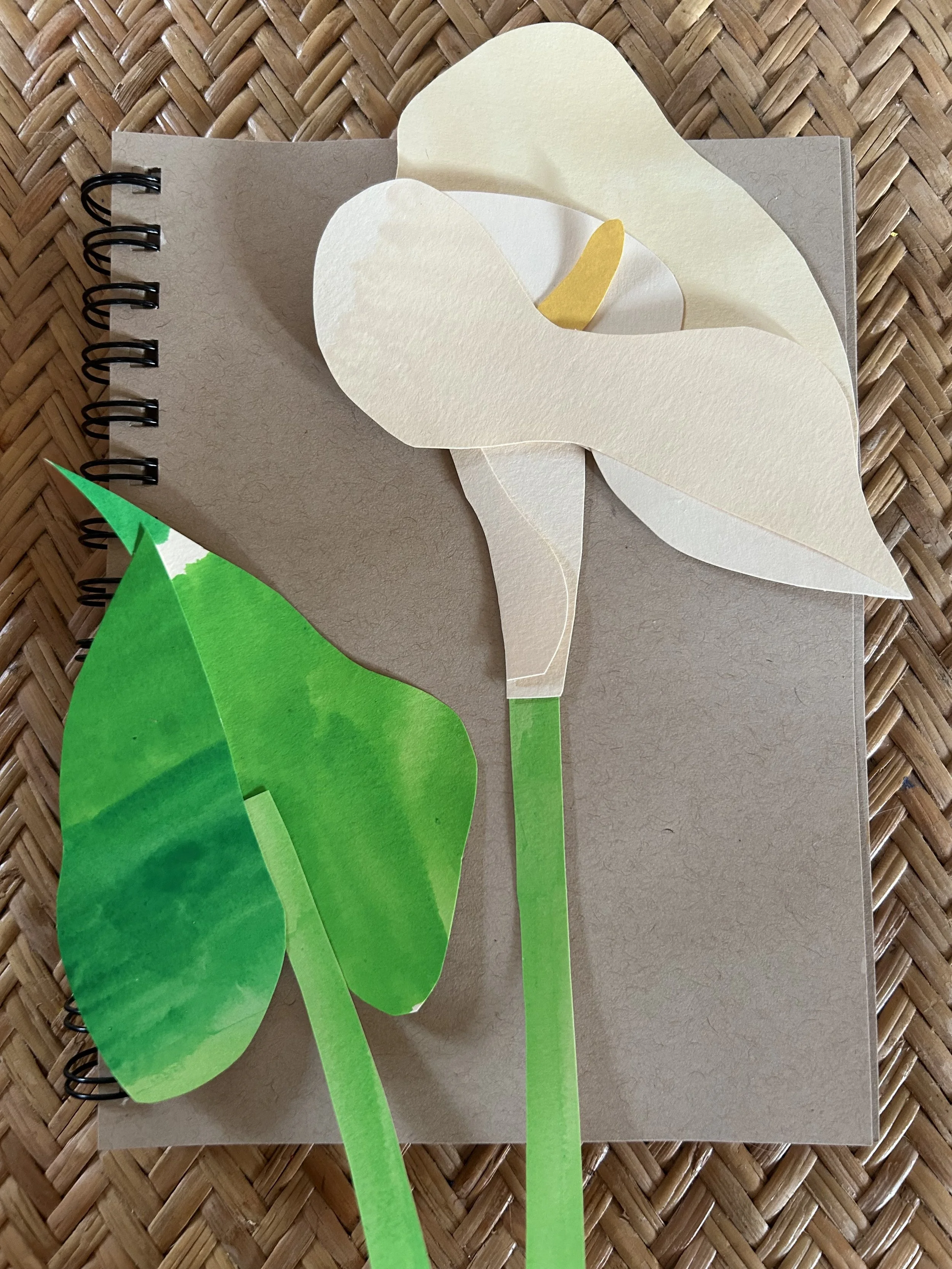 Calla Lilies, 2026