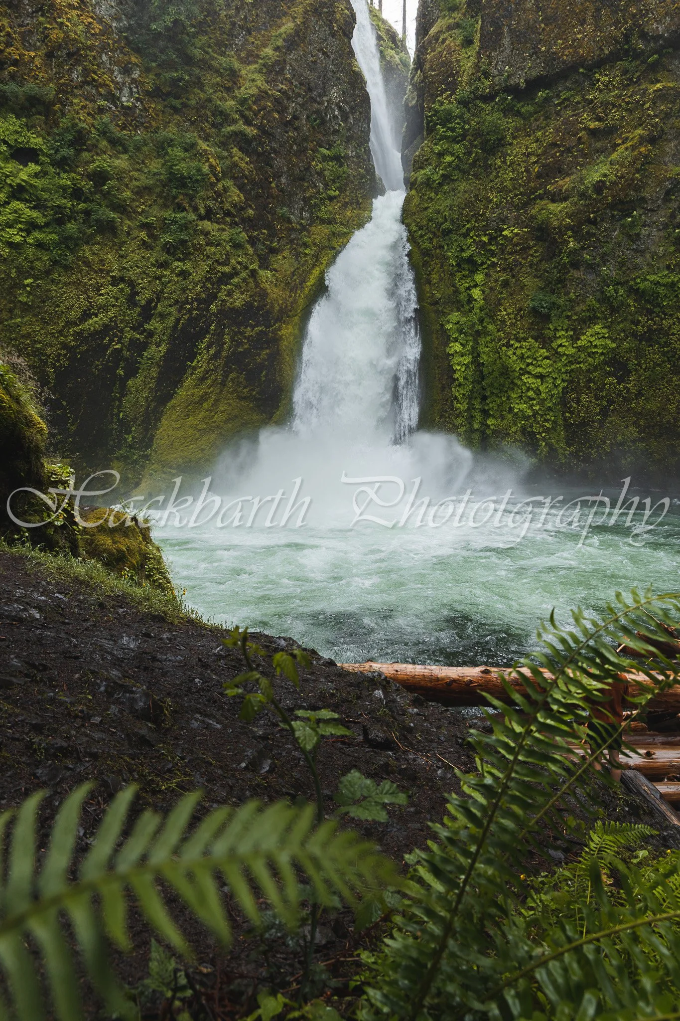 Green Waterfall.jpg